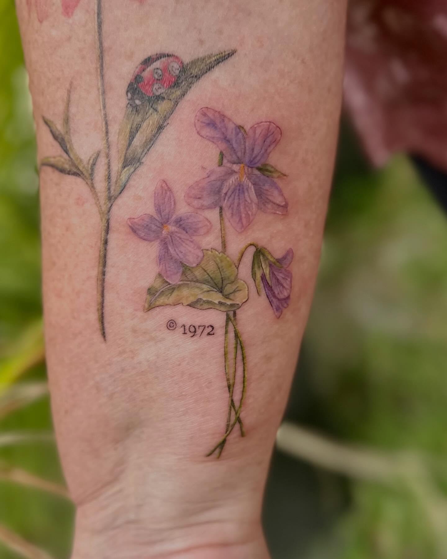 Violets and ladybug realism tattoo on the forearm by 🌼Kristen Kooster Tattoos🌼