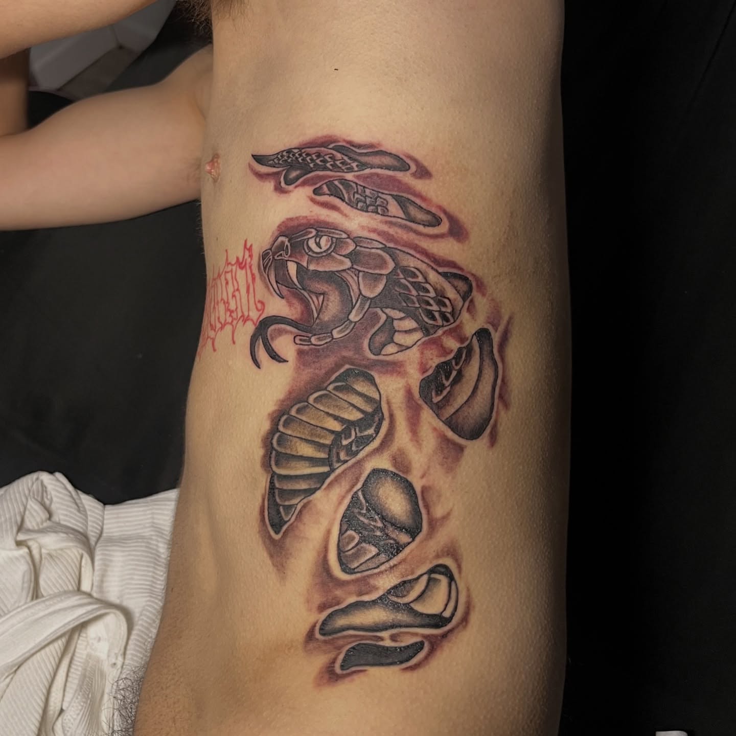 Snake realism tattoo on the forearm by Star Tattoos ⚜️