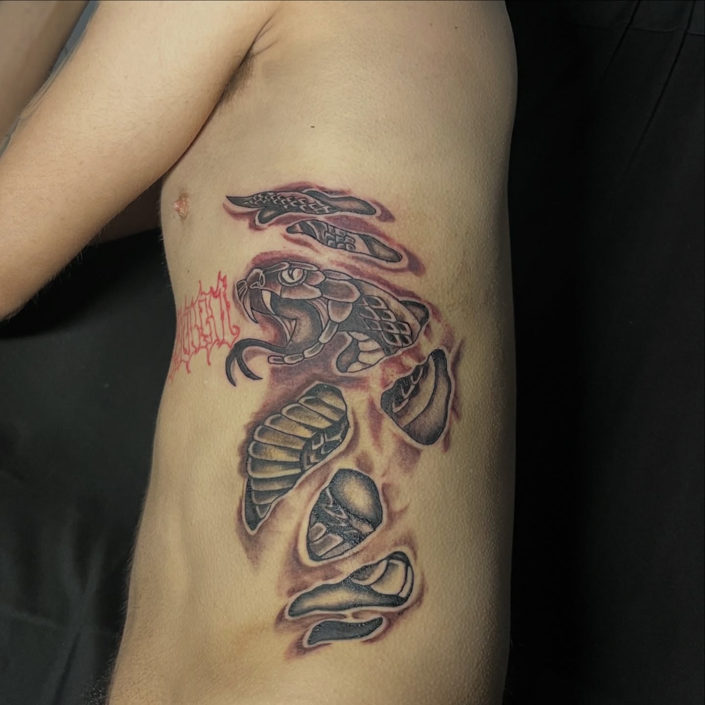 Snake black and grey tattoo on the ribs by Star Tattoos ⚜️