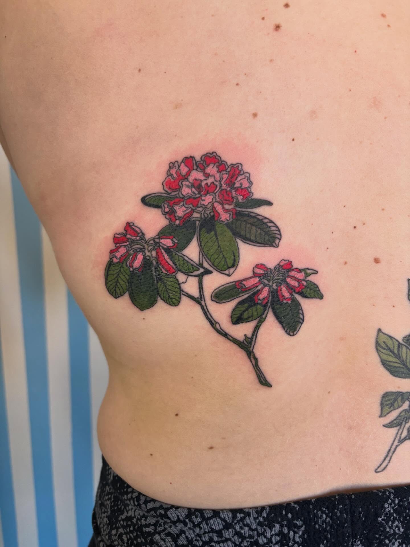 Flower branch new school tattoo on the ribs by Ashley Ellerman