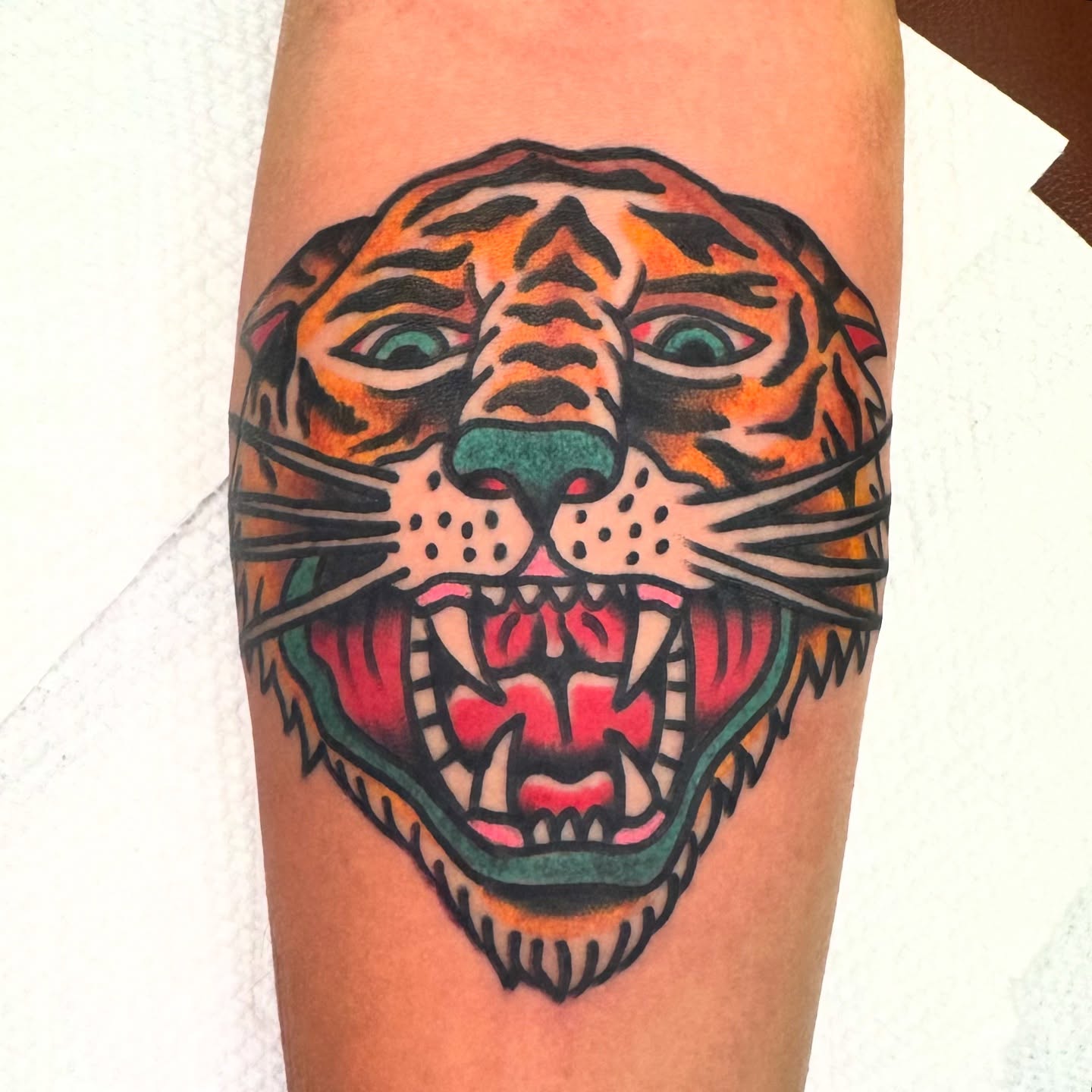 Tiger American traditional tattoo on the forearm by Kenny Kastro
