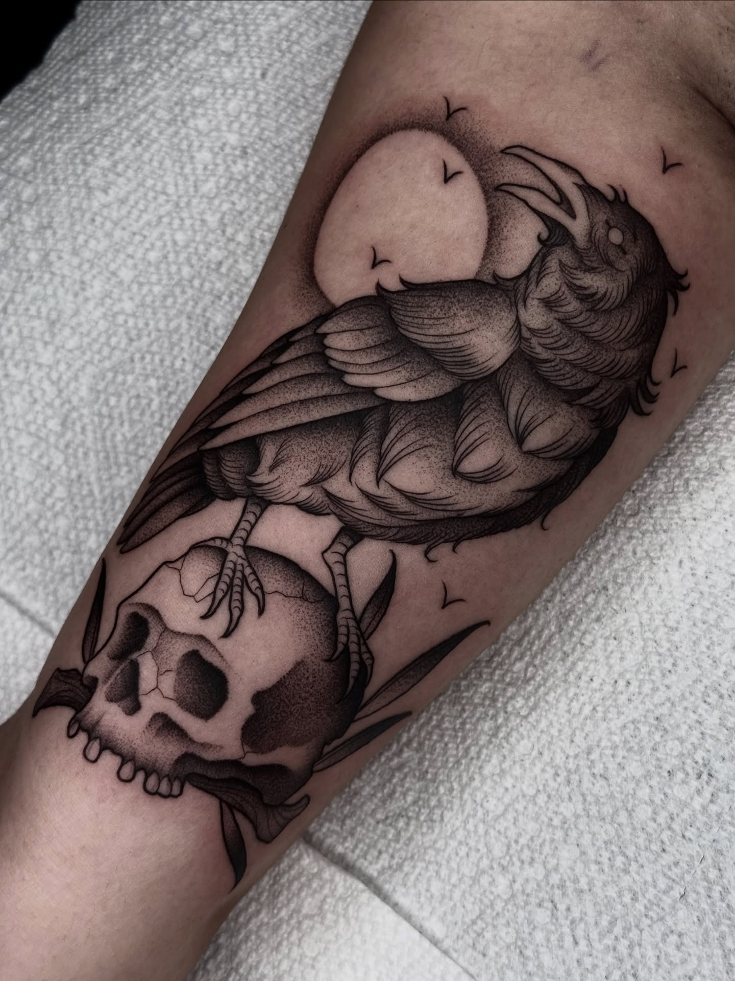 Bird and skull realism tattoo on the forearm by Carlos Abad