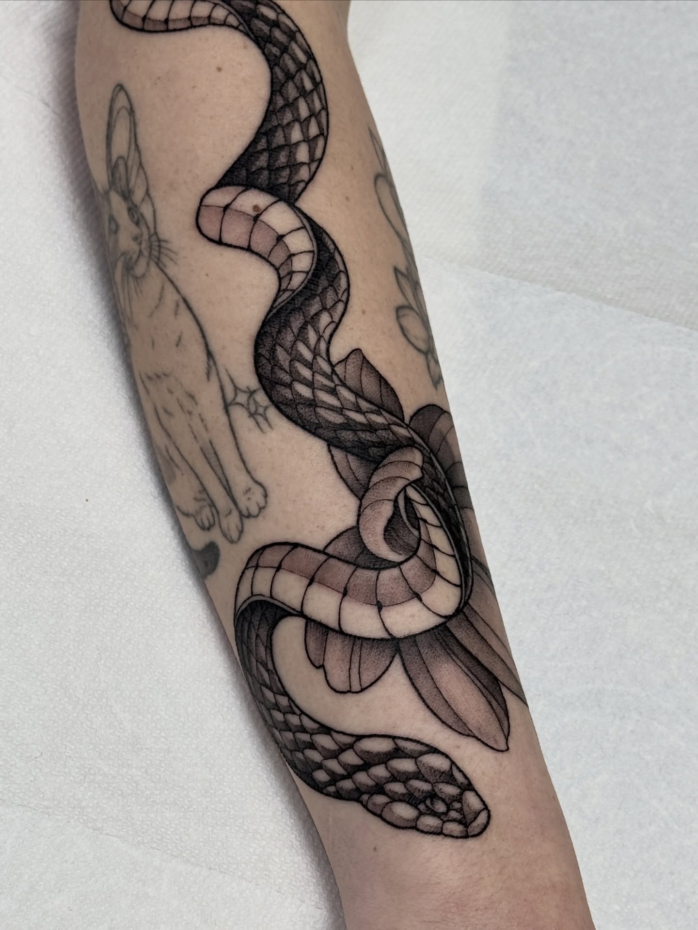 Tattoo by Hannah May, La Mesa, California