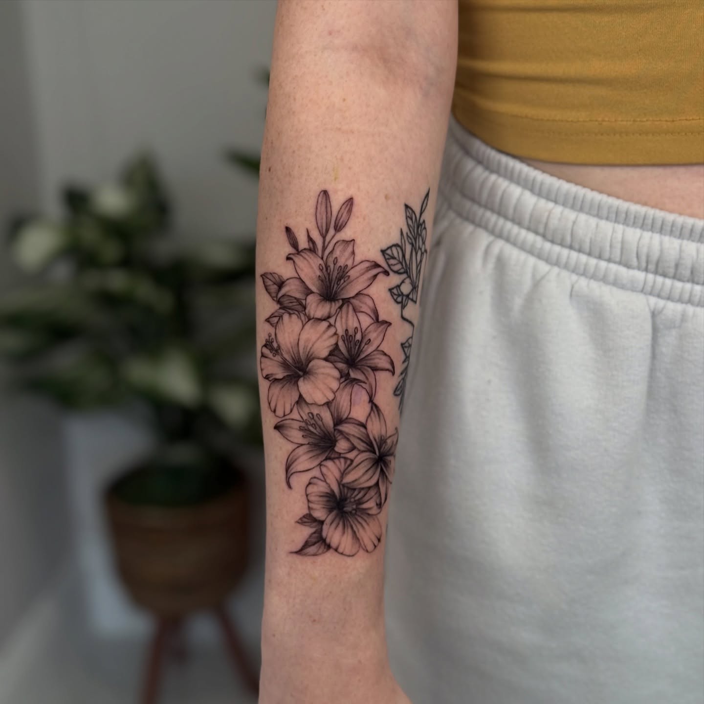 Lilies black and grey tattoo on the forearm by ♍️𝒾𝒸𝒽𝑒𝓁𝓁𝑒⁺‧₊˚ ཐི⋆♱⋆ཋྀ ˚₊‧⁺, Charlotte, North Carolina