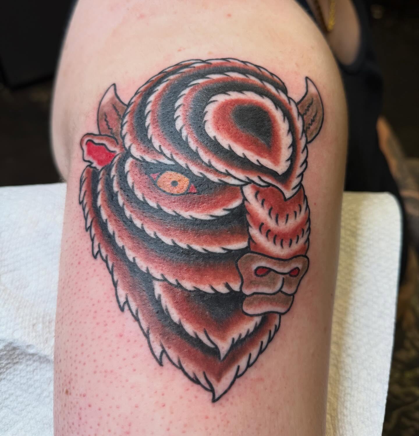 Bull American traditional tattoo on the thigh by Brendan Willbern, Austin, Texas