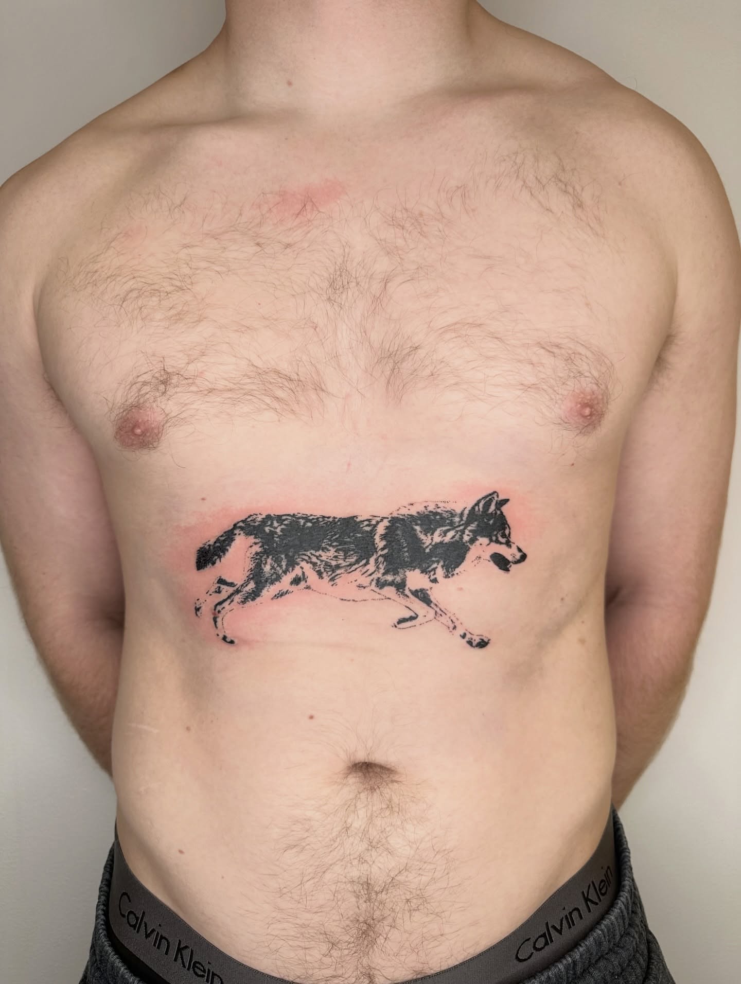 Wolf black and grey tattoo on the chest by πΈππππππ