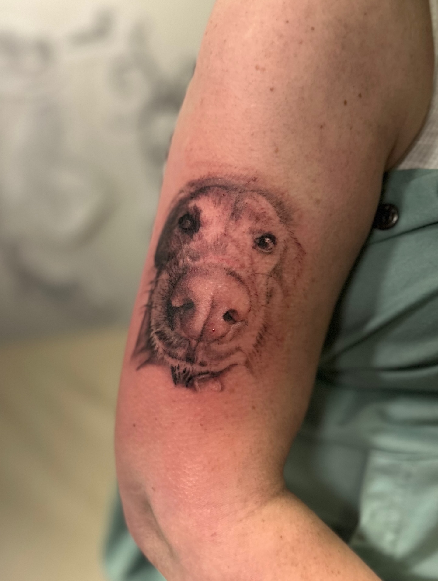 Dog realism tattoo on the forearm by Amber Miracle