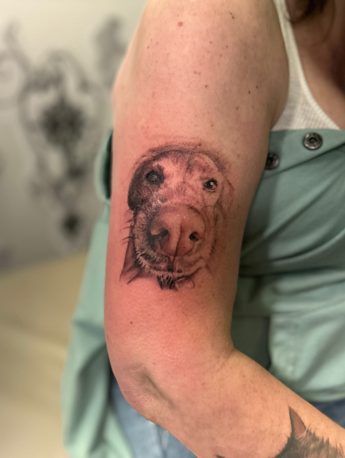 Dog realism tattoo on the forearm by Amber Miracle
