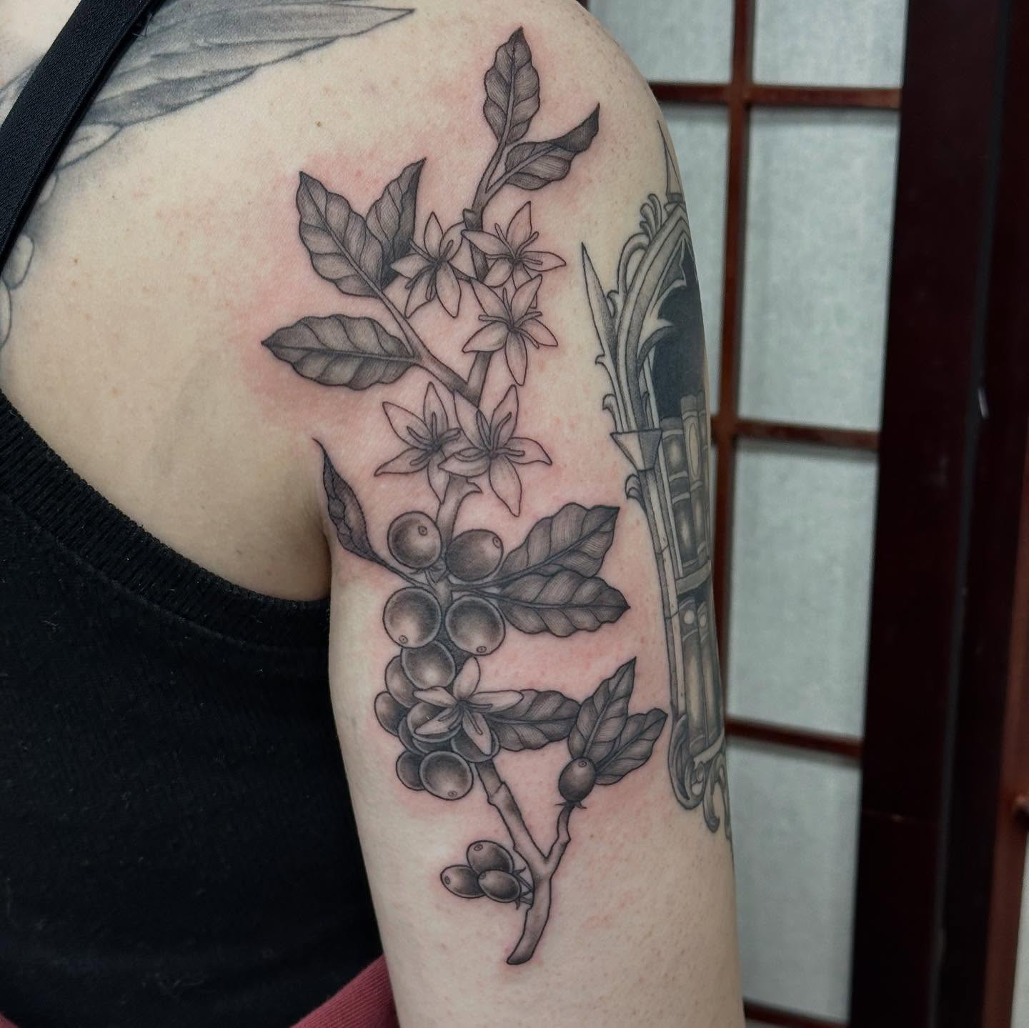 Coffee plant black and grey tattoo on the upper arm by Olivia Norbert