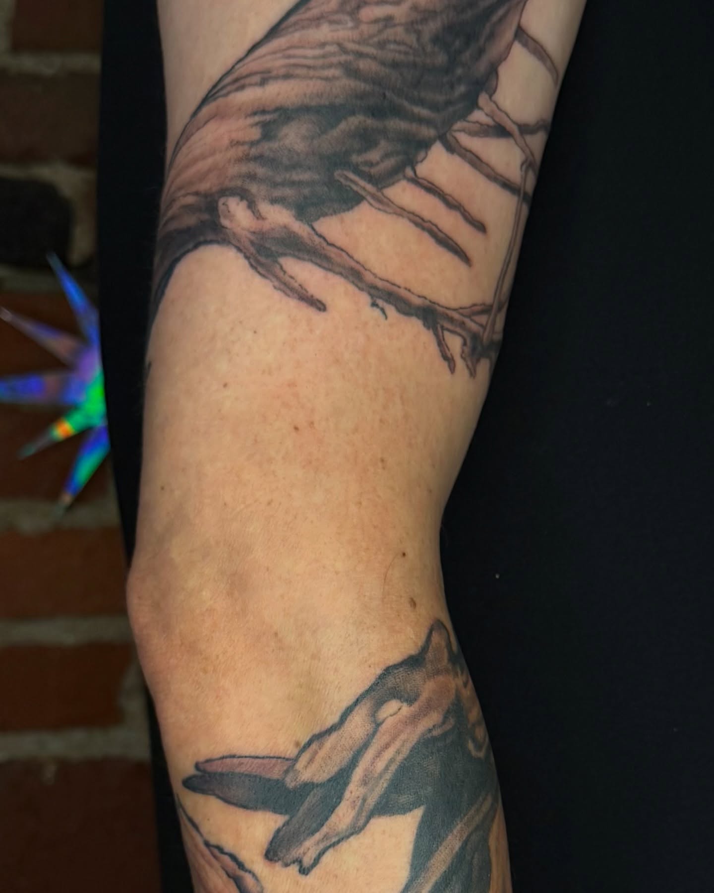 Deer and whale realism tattoo on the forearm by Francis Hagendorn, Toronto, Ontario