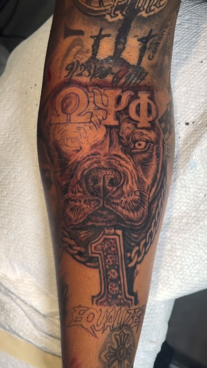Pitbull dog and chain realism tattoo by Justin custard Tattoo💉Artist 🎨Painter