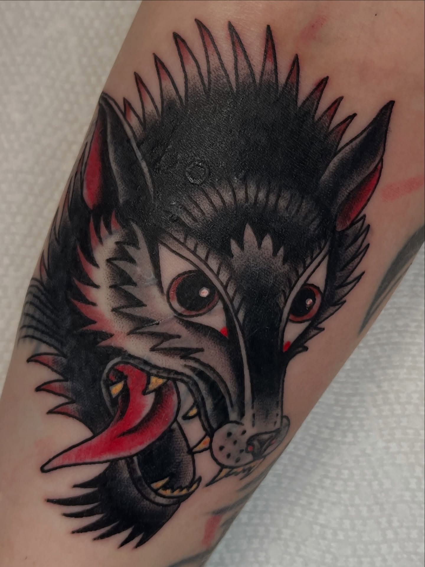 Wolf American traditional tattoo on the forearm by You’ll save me in your phone as Tattoo Tim