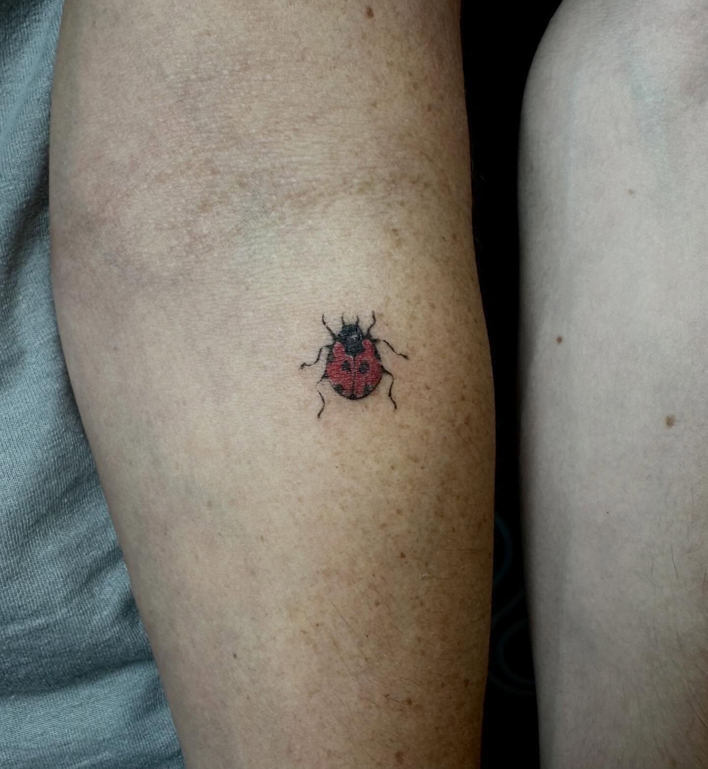 Ladybug dotwork tattoo on the forearm by emma christine