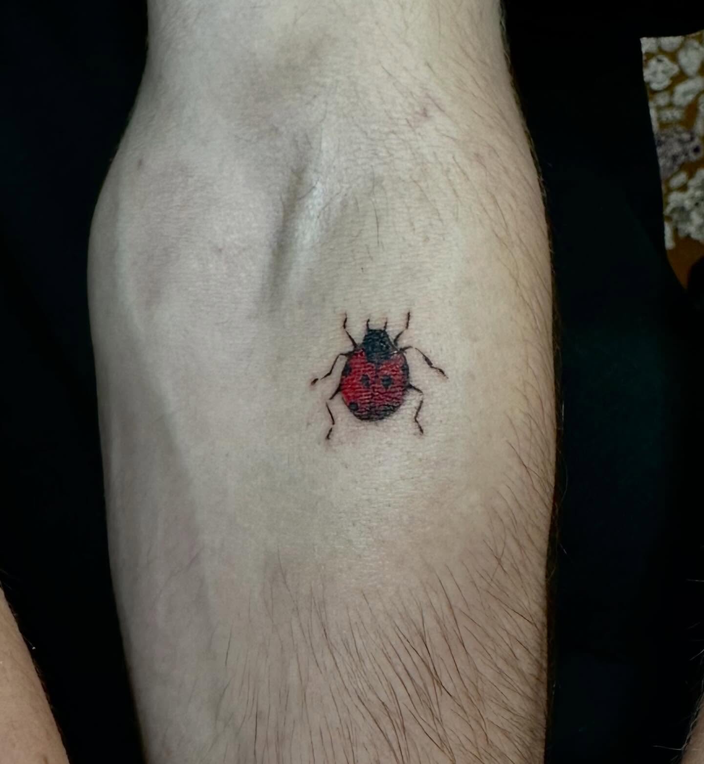 Ladybug realism tattoo on the forearm by emma christine