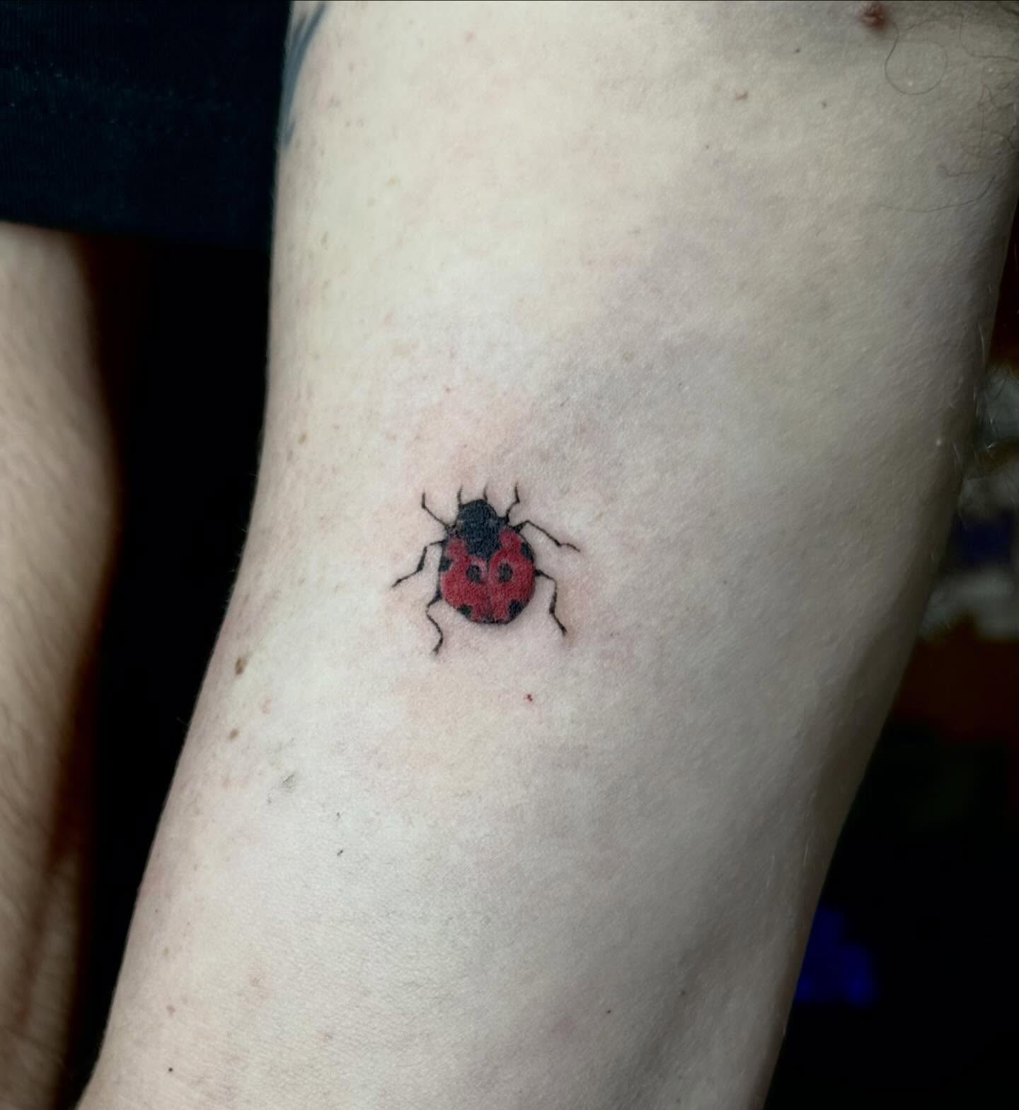 Ladybug dotwork tattoo on the forearm by emma christine