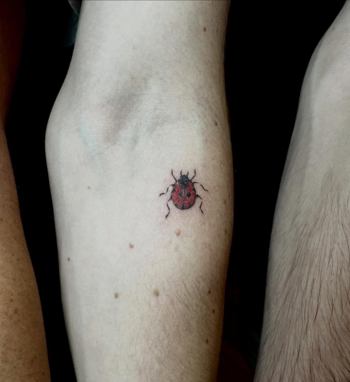Ladybug dotwork tattoo on the forearm by emma christine