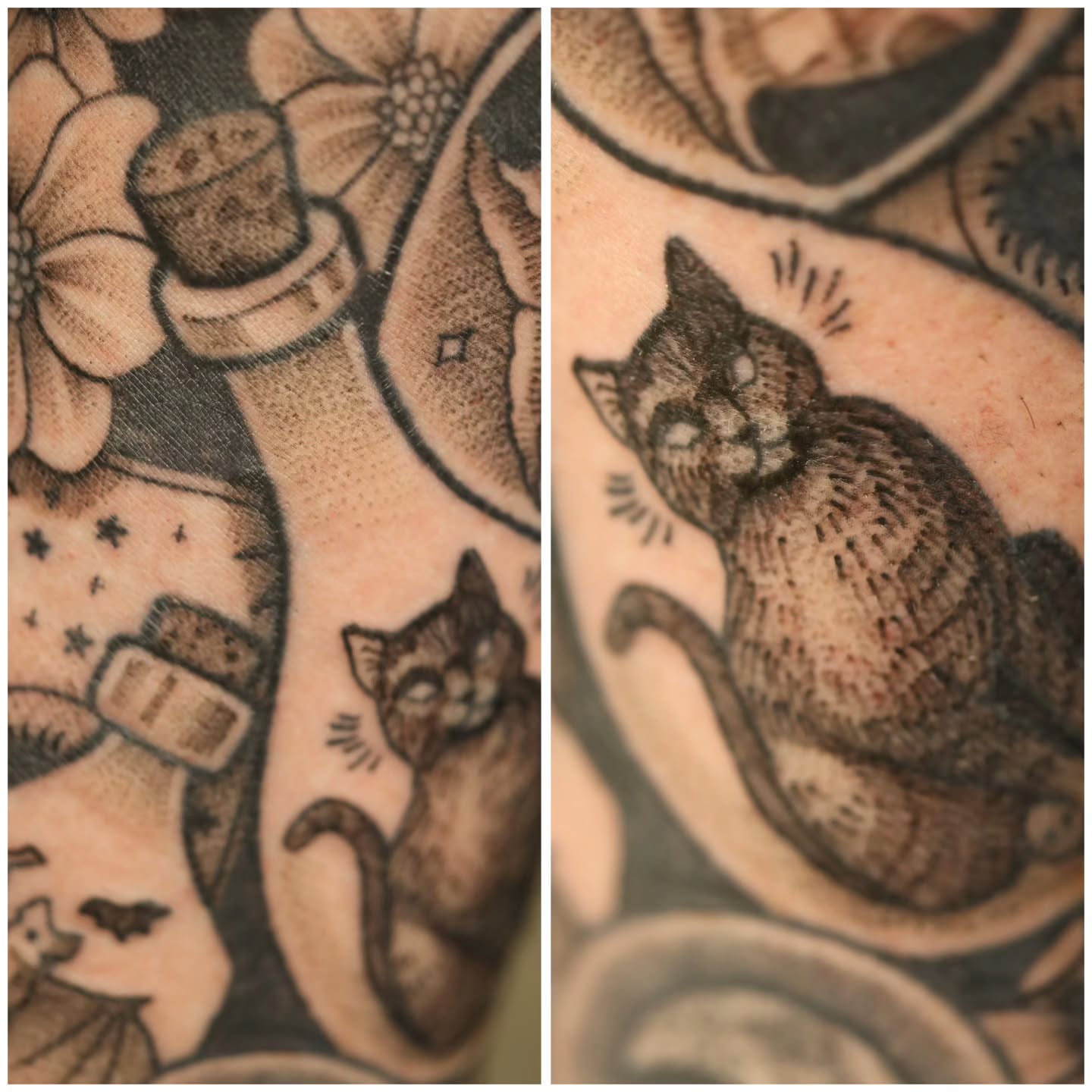 Tattoo by @catsclawtattoo — dotwork, black_and_grey
