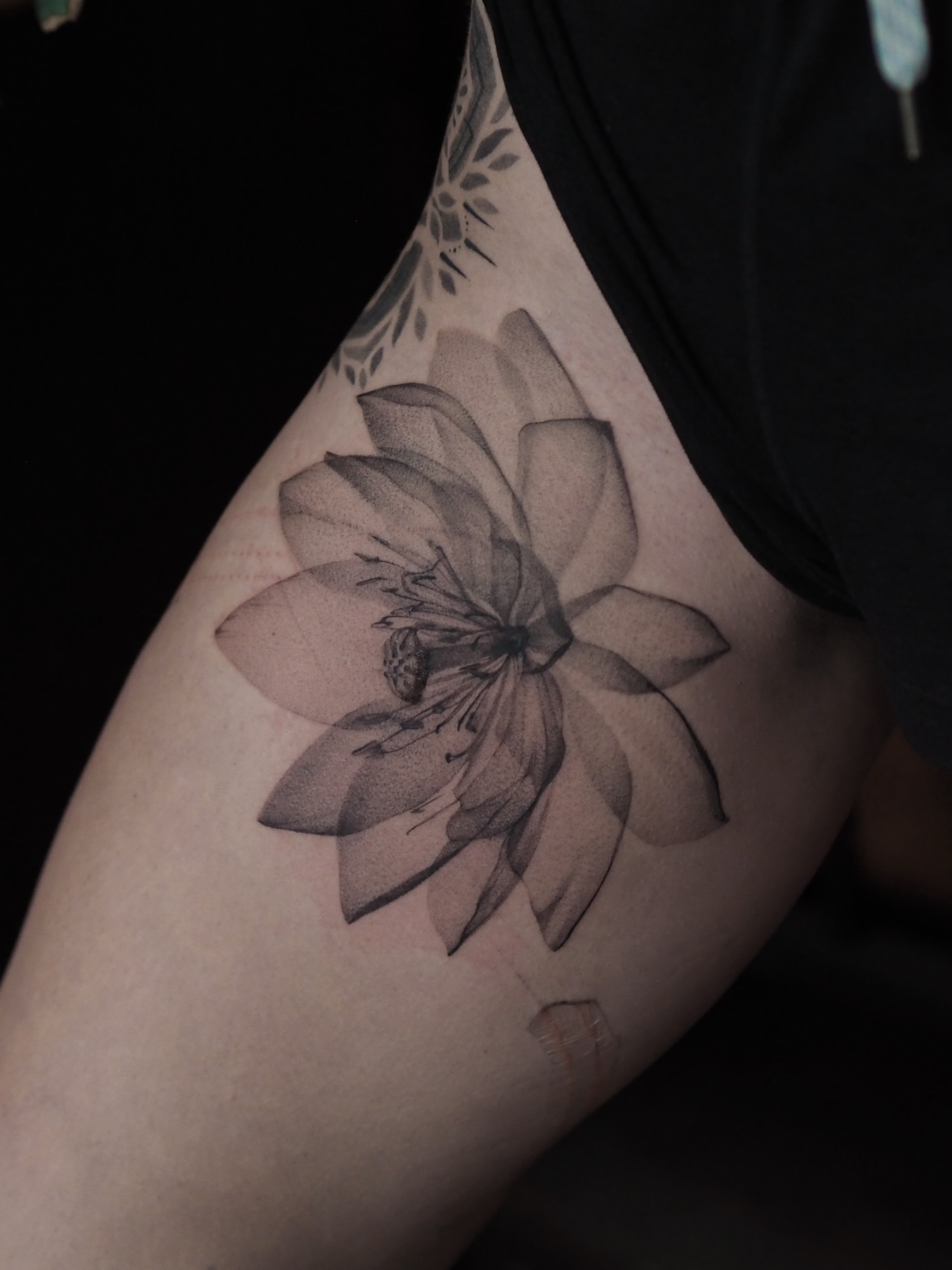 Tattoo by @pakhanova — dotwork, realism