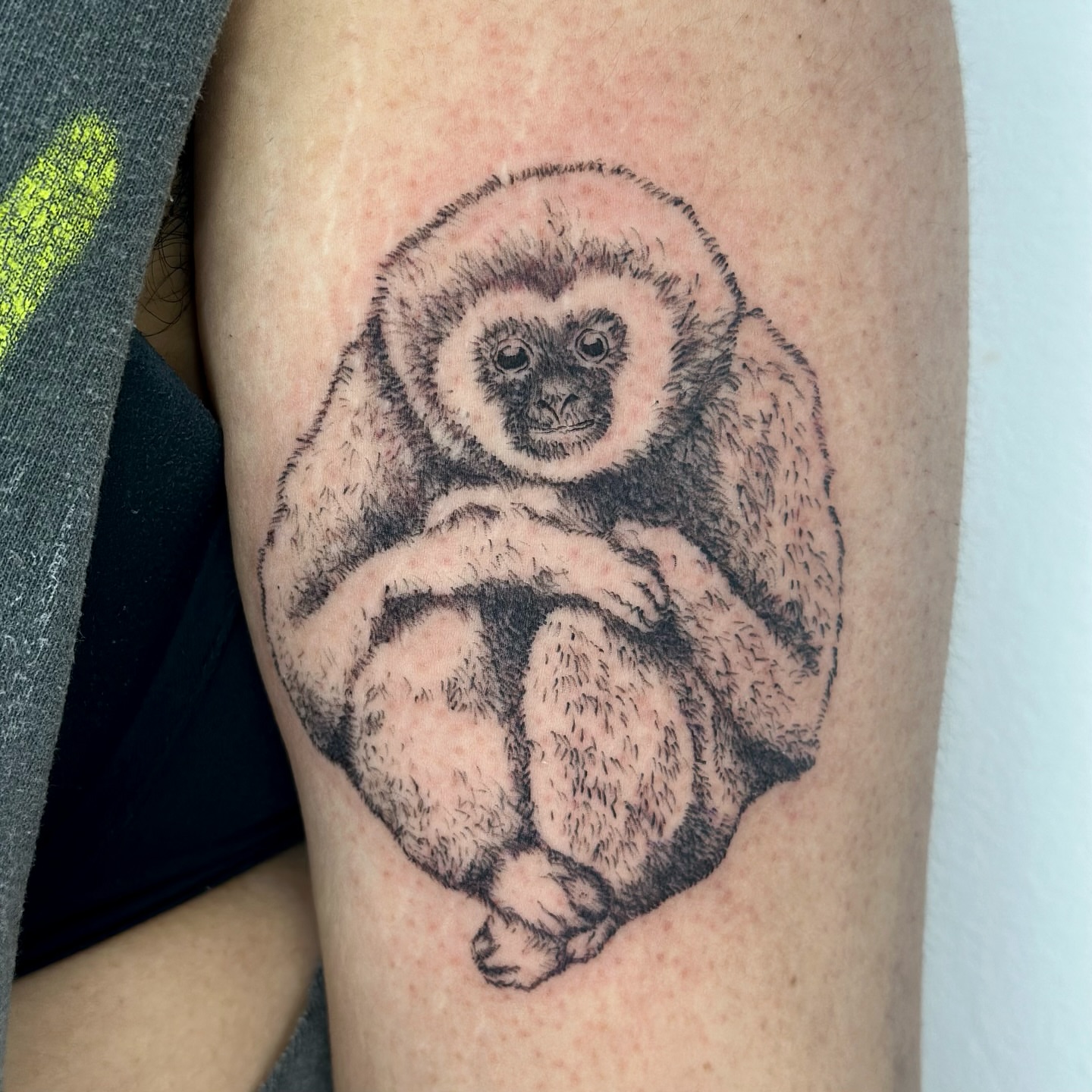 Monkey realism tattoo on the upper arm by edie ☆ kansas tattoo artist, Lawrence, Kansas