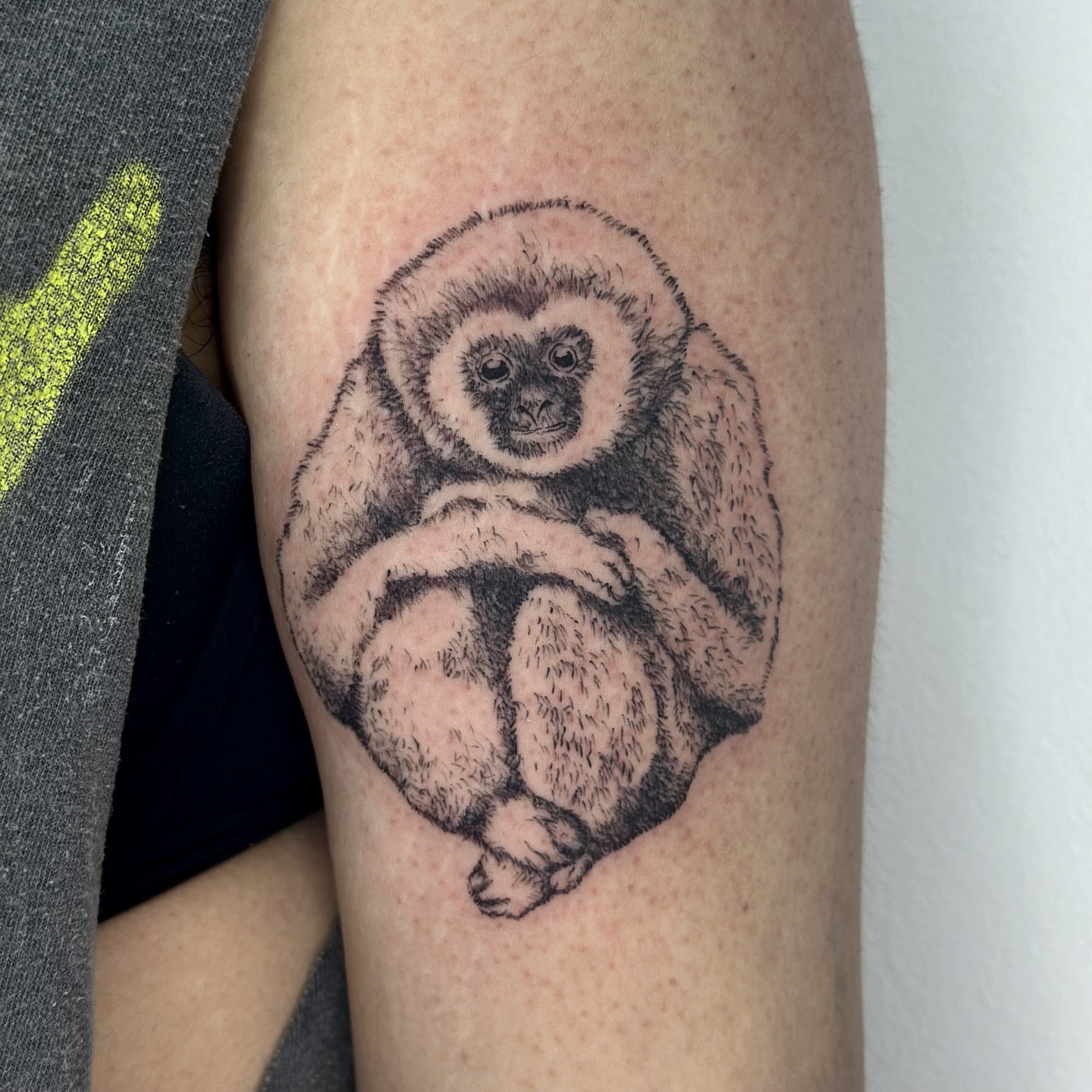 Monkey realism tattoo on the forearm by edie ☆ kansas tattoo artist, Lawrence, Kansas