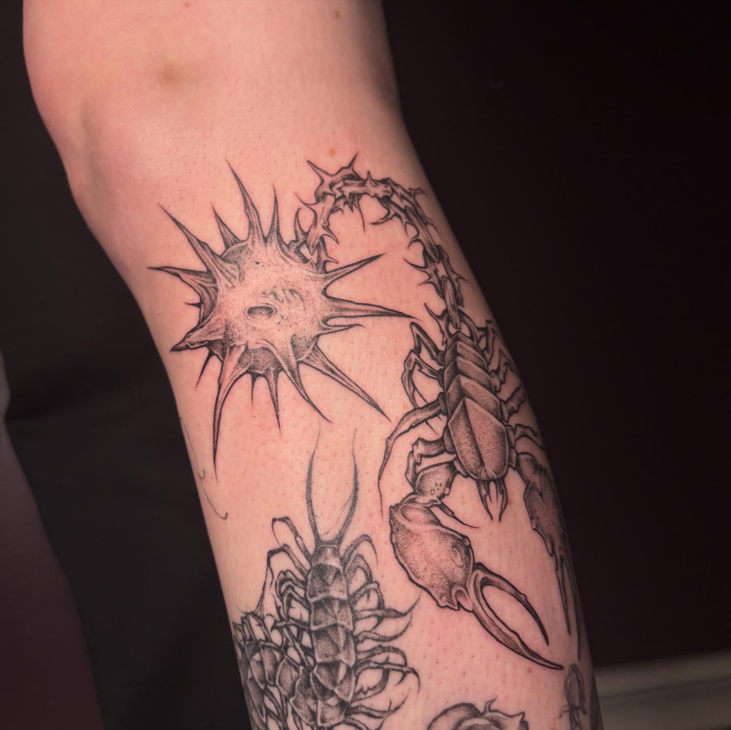 Scorpion and thorns realism tattoo on the forearm by amy mangeri ๐ฆ