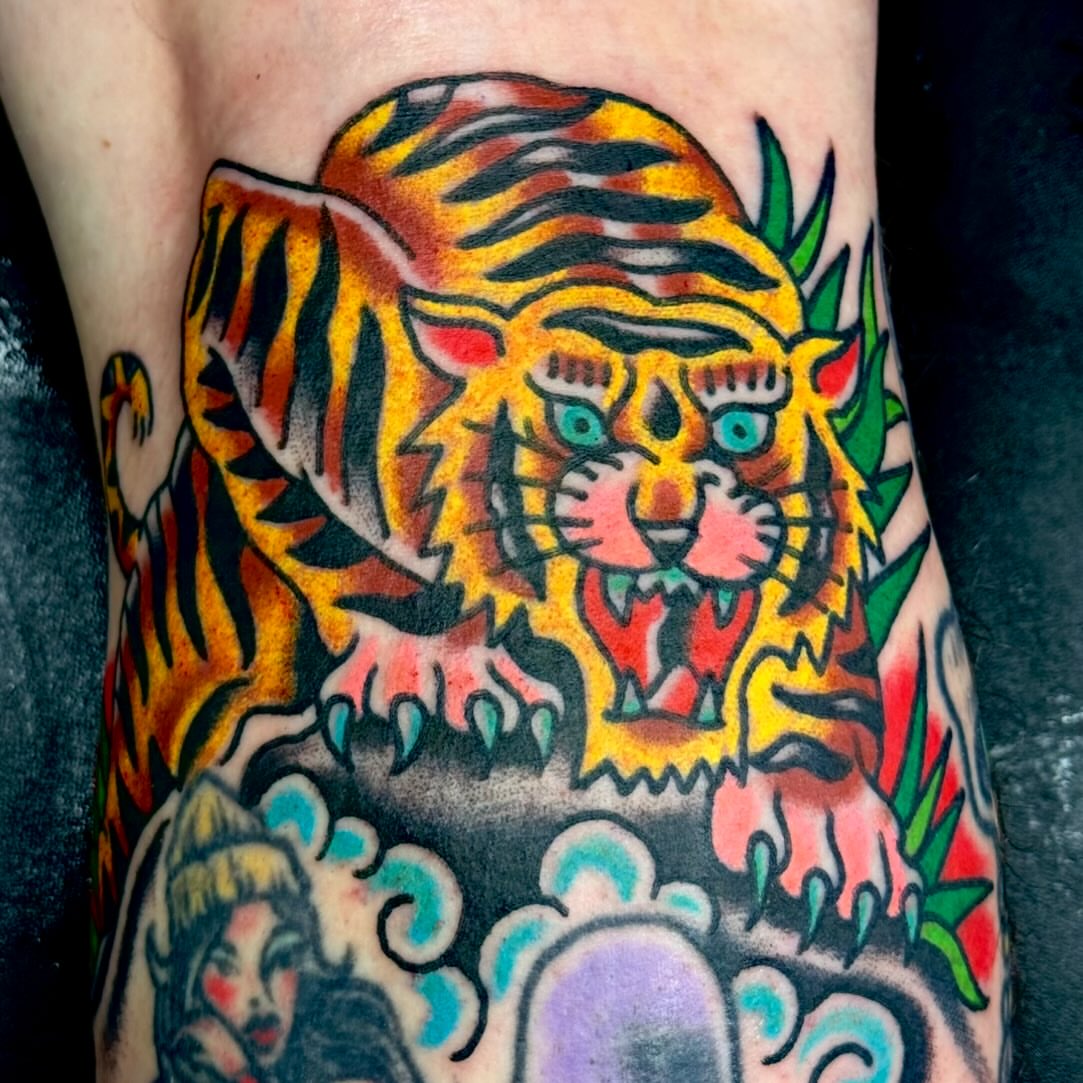 Tiger American traditional tattoo on the forearm by Sam Hambrick, Watchung NJ
