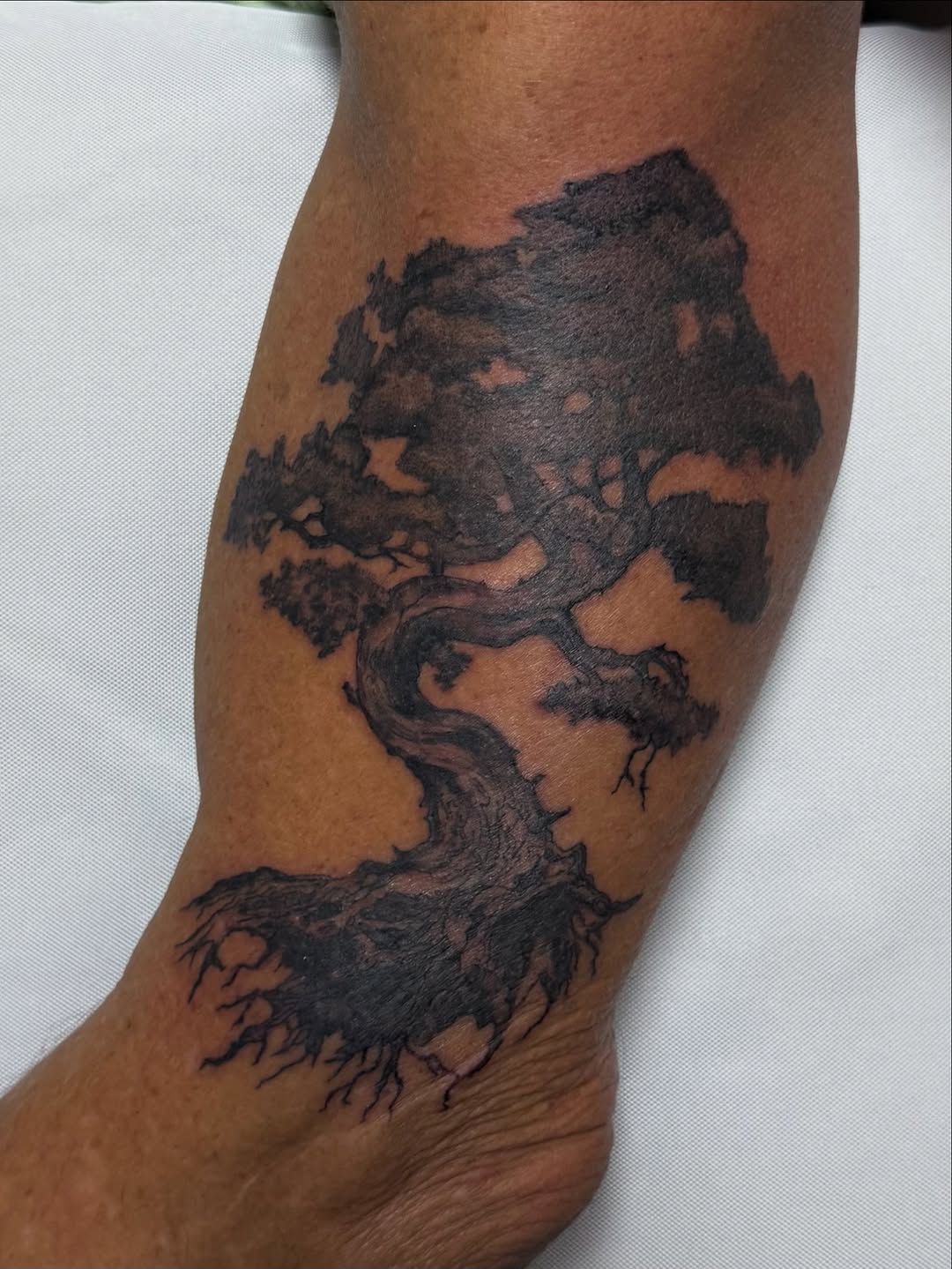 Bonsai tree dark art tattoo on the forearm by @blackastaratattoo