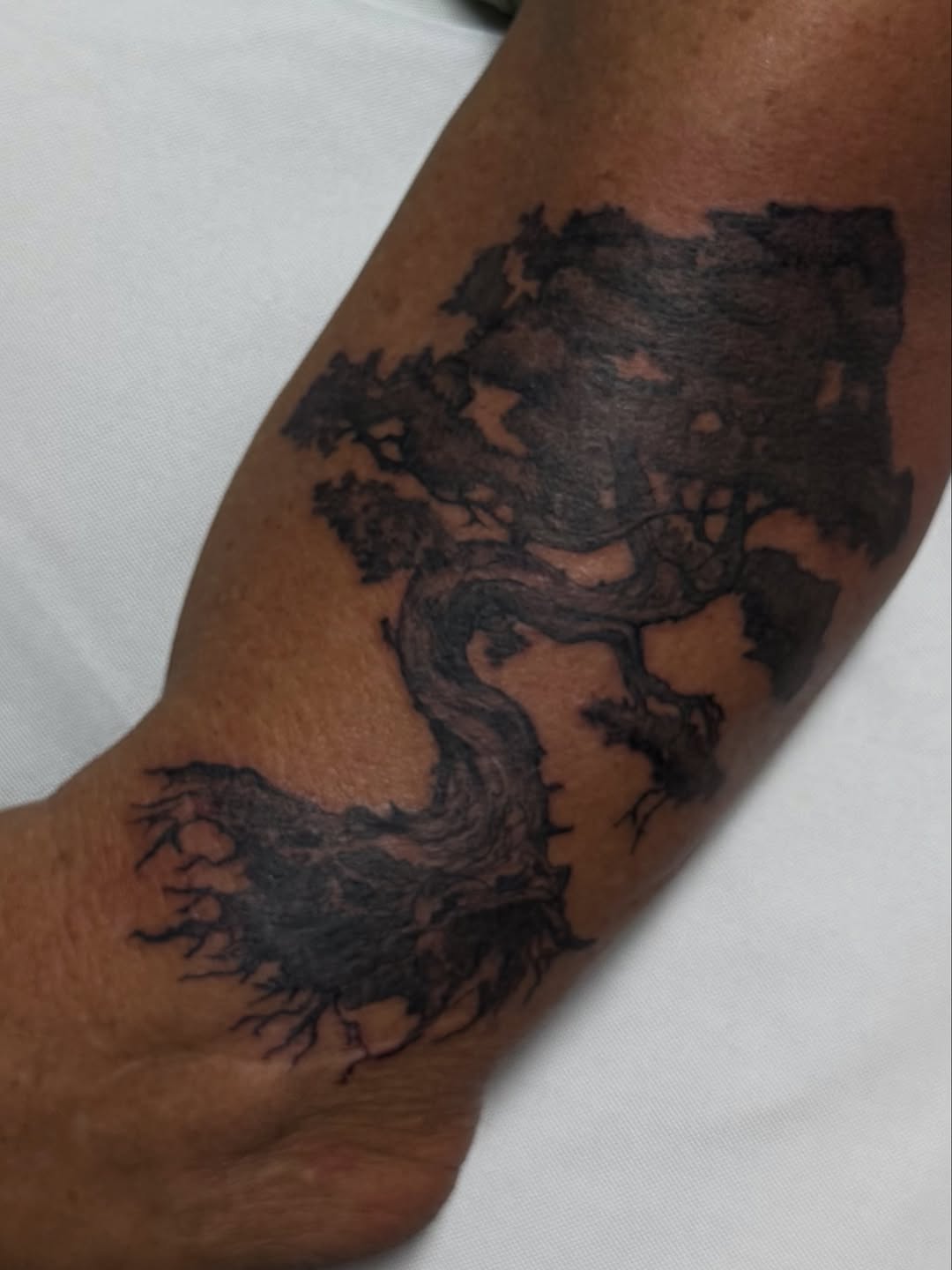 Gnarled tree dark art tattoo on the forearm by @blackastaratattoo