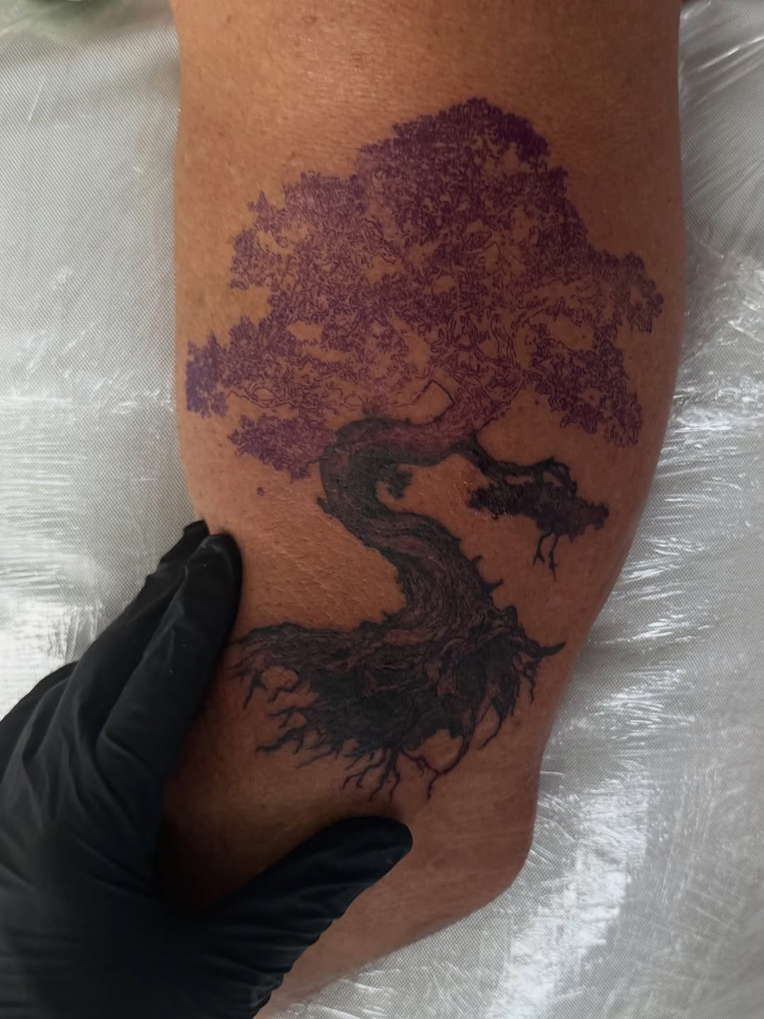 Gnarled tree tattoo on the forearm by @blackastaratattoo