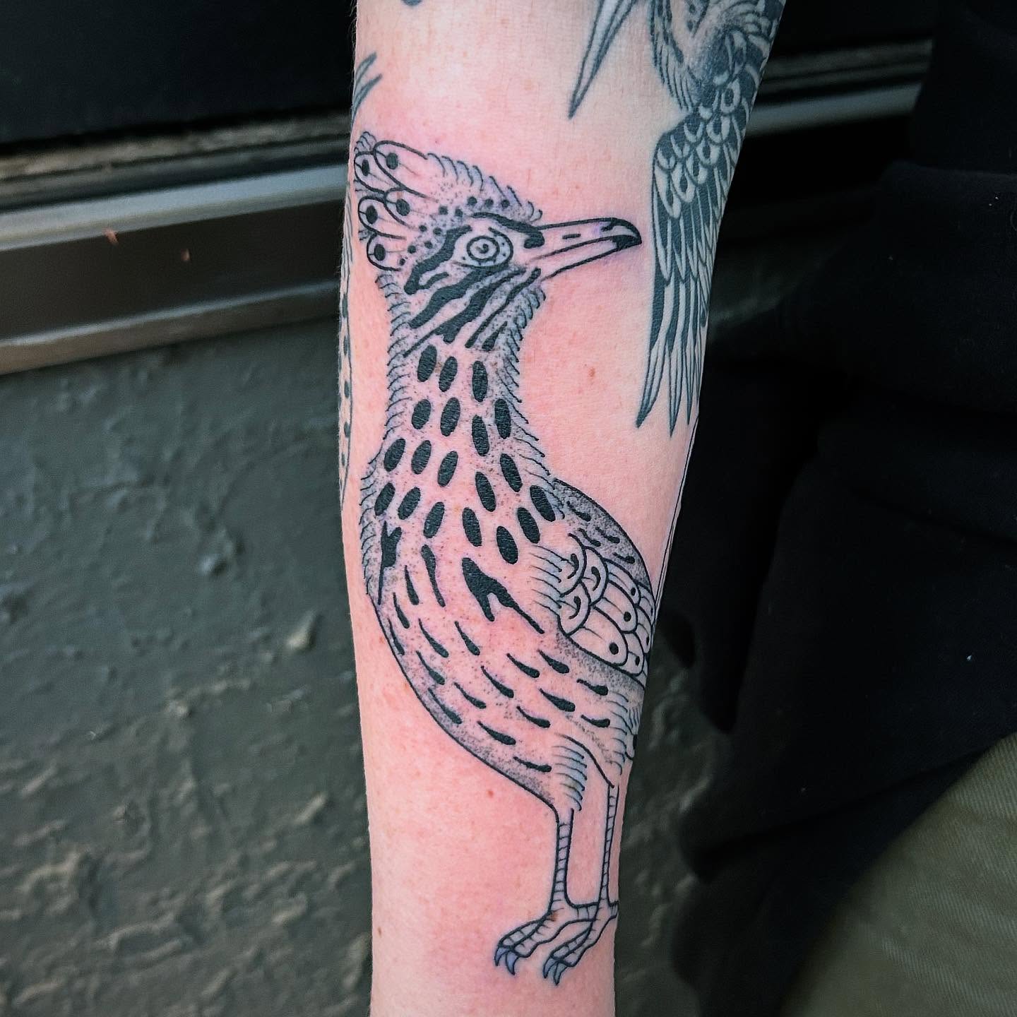 Roadrunner dotwork tattoo on the forearm by Erica Finley