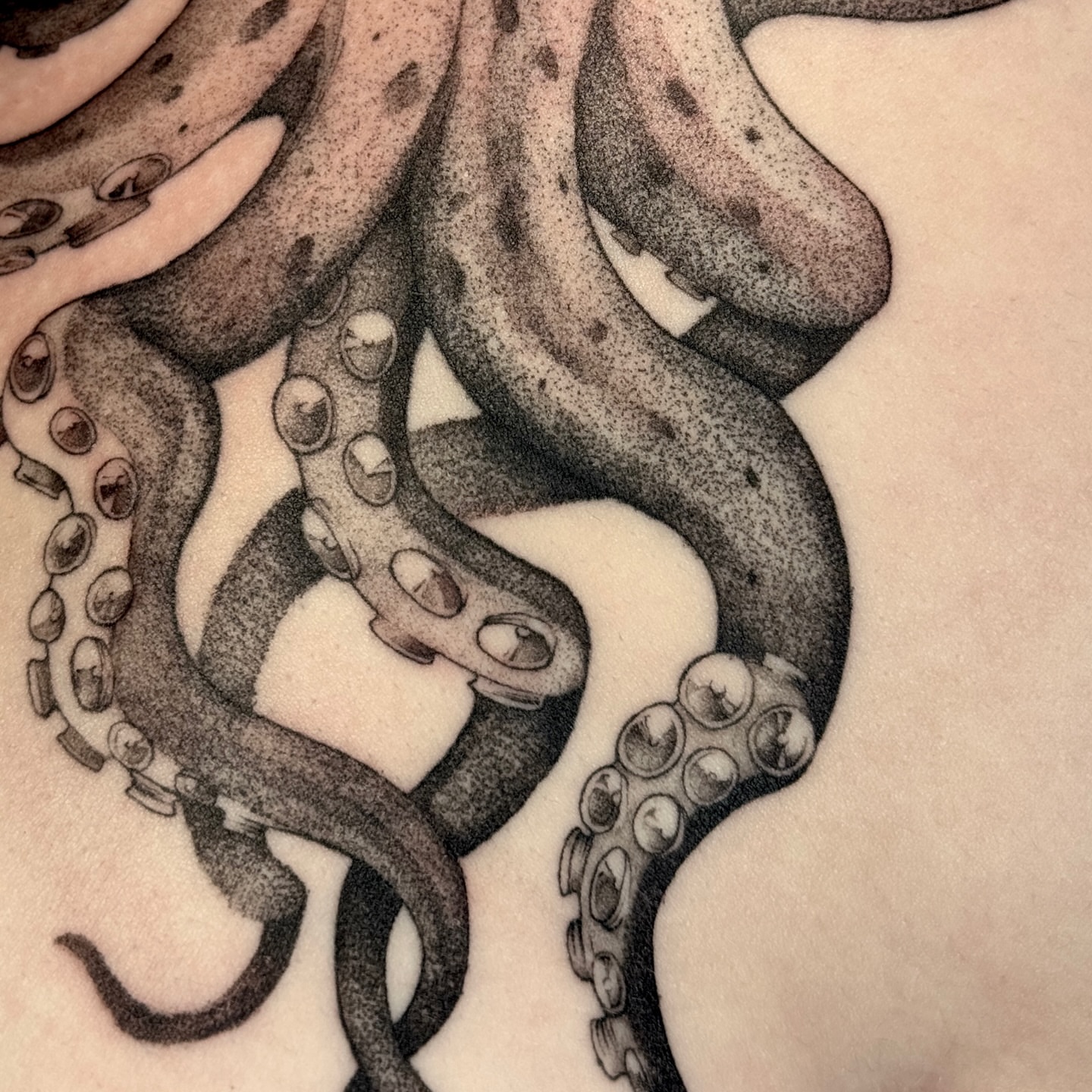 Octopus tentacles dotwork tattoo by Molly Murray