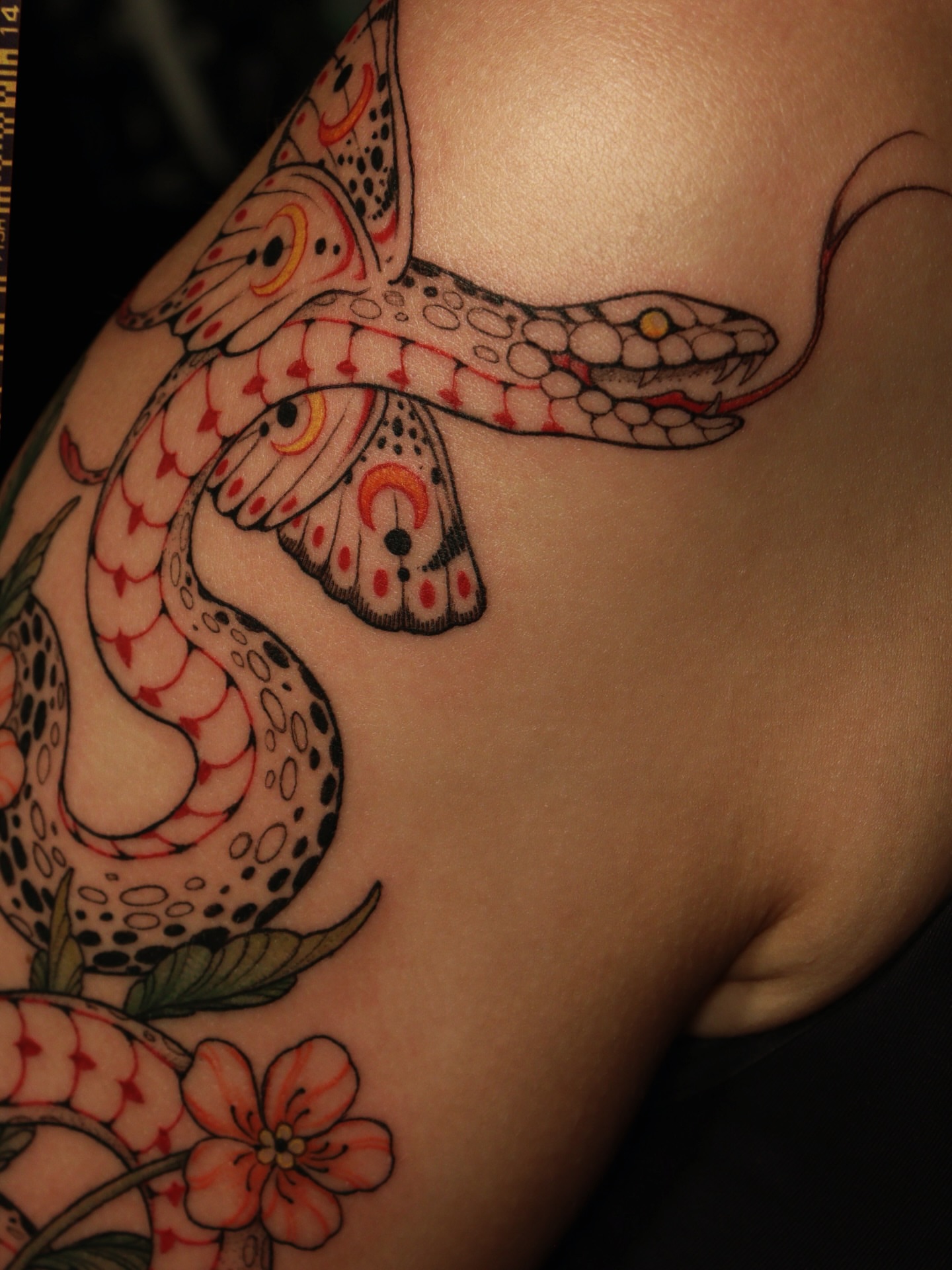 Snake American traditional tattoo on the shoulder by @jettaturas, New City, New York