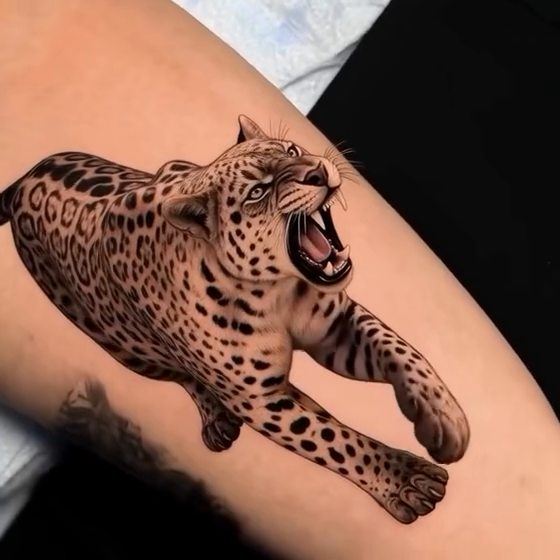 Tattoo work at DC Tattoo Expo 2026 (cancelled)