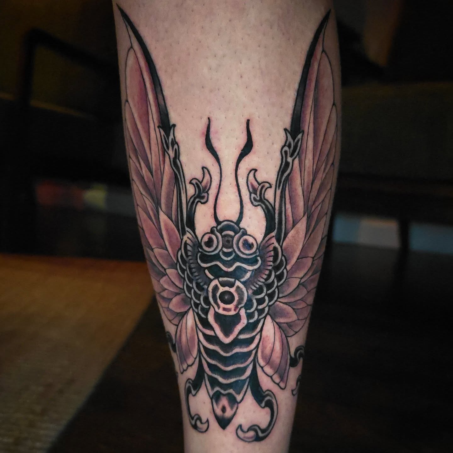 Insect American traditional tattoo on the forearm by Joseph Jeffers