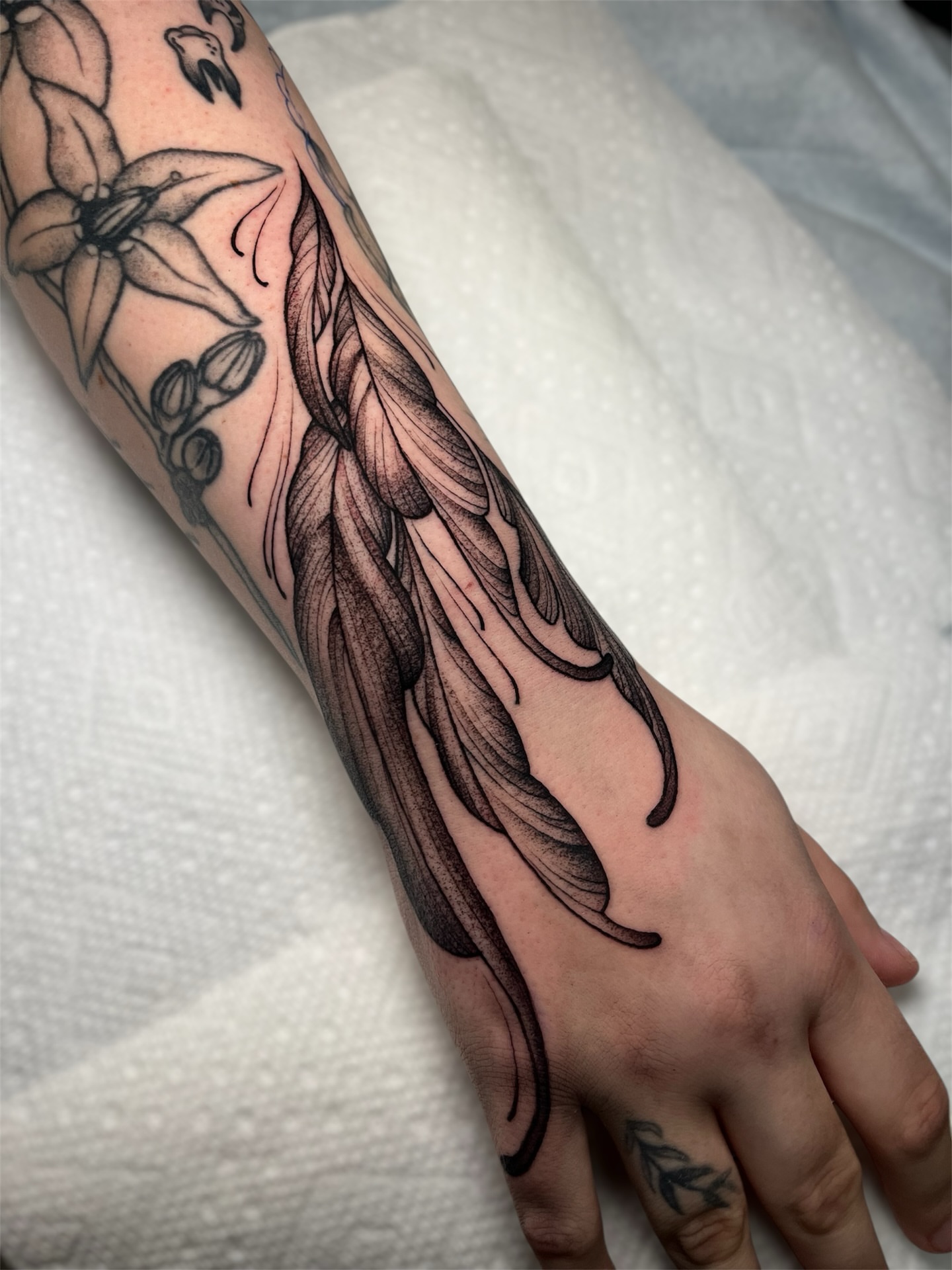 Tattoo by @msbeetattoos β black_and_grey