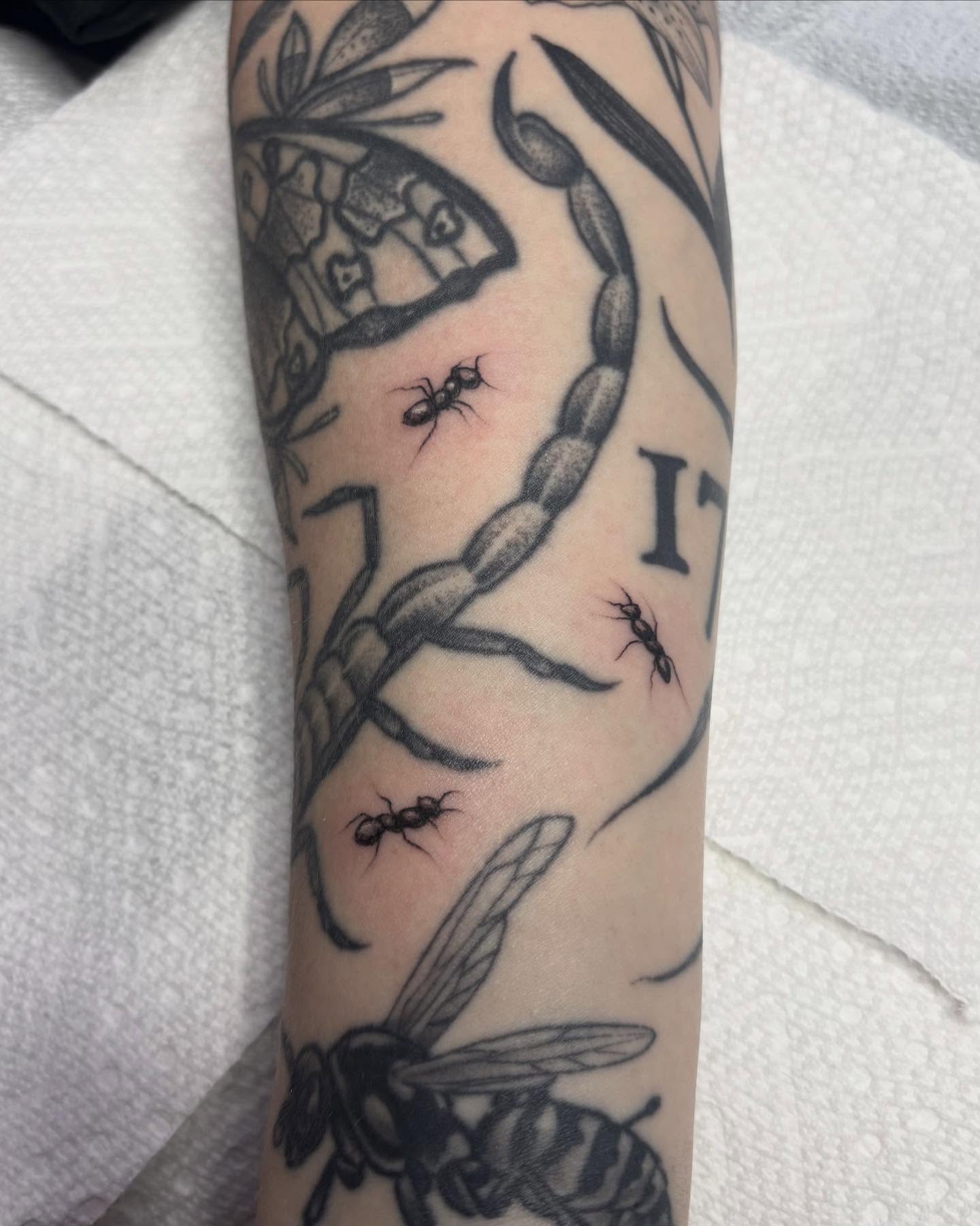 Ant and bee black and grey tattoo on the forearm by ⟡ Sam O ⟡