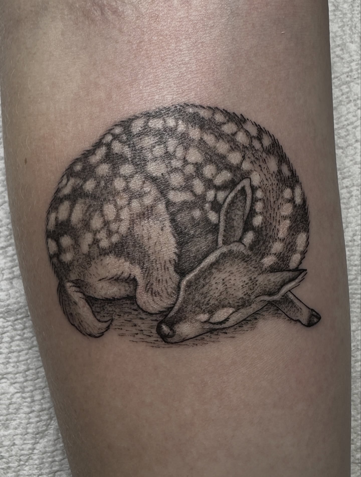 Armadillo dotwork tattoo on the forearm by Robert McCollum
