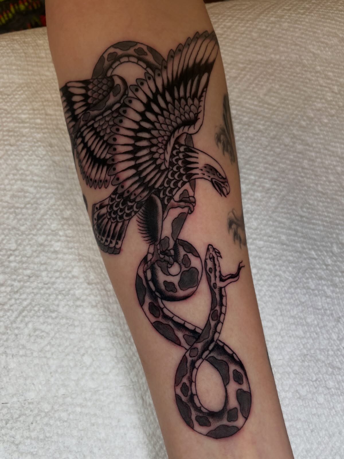 Eagle and snake black and grey tattoo on the forearm by Dayton Tattoo Artist, Miamisburg, Ohio