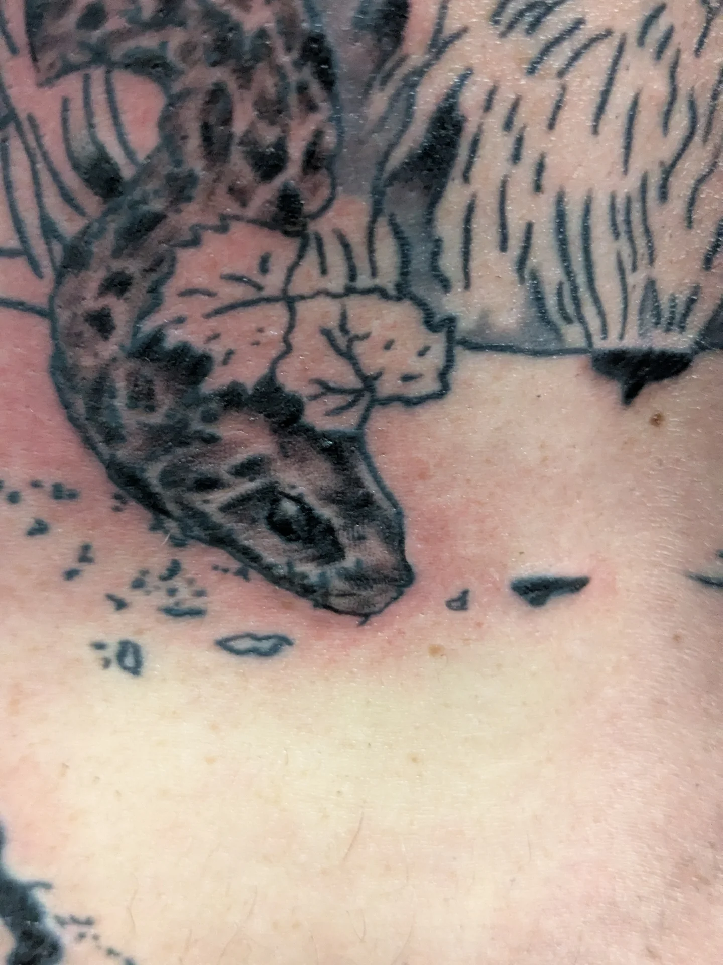 Tattoo by @andrennasparlor — realism