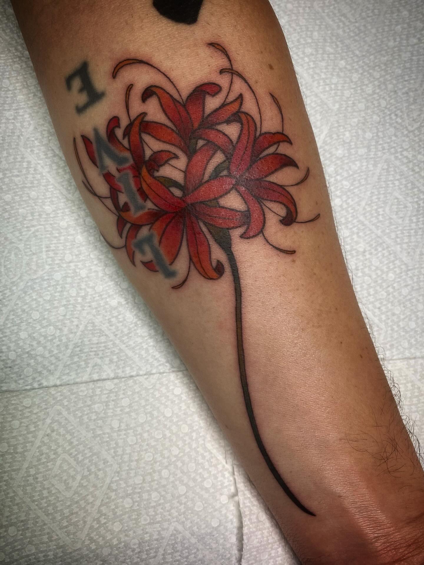 Red flower new school tattoo on the forearm by Barbara Niblo