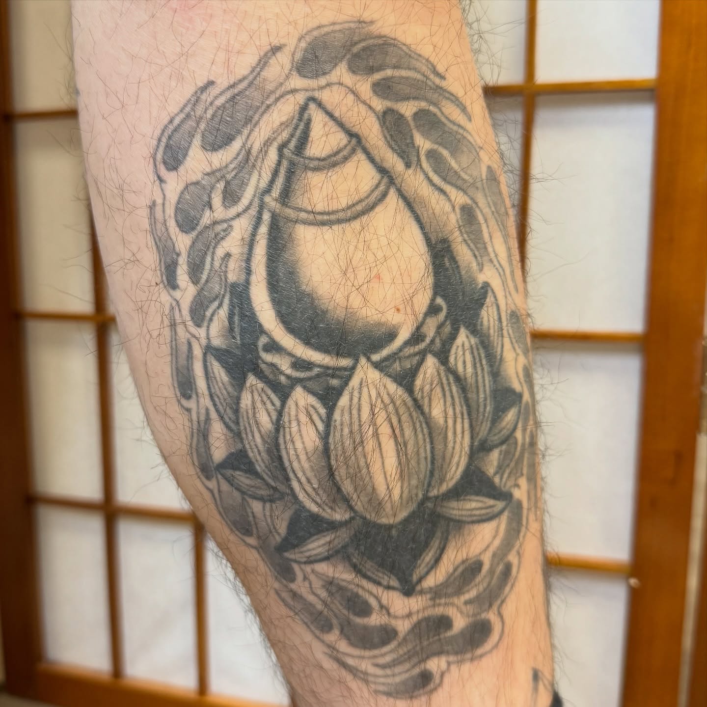 Lotus flower black and grey tattoo on the forearm by Dylan