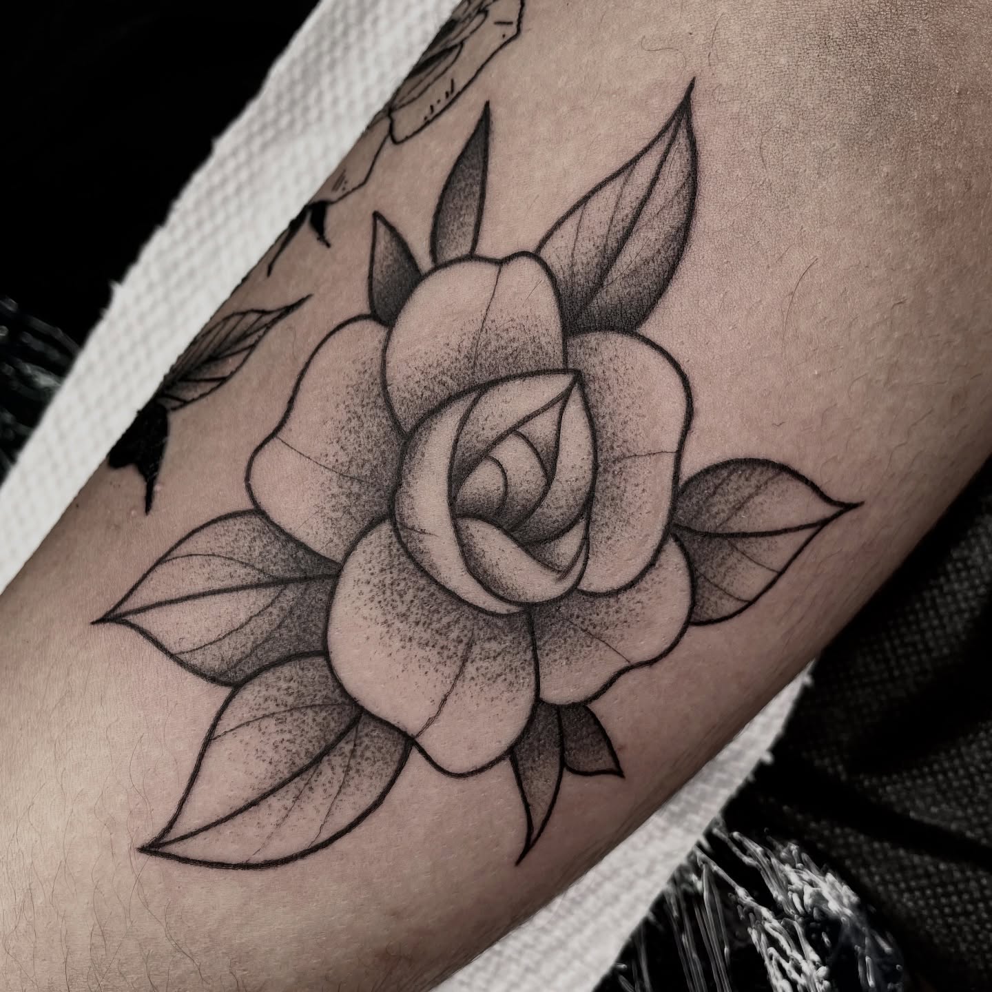Rose dotwork tattoo on the forearm by Ducky