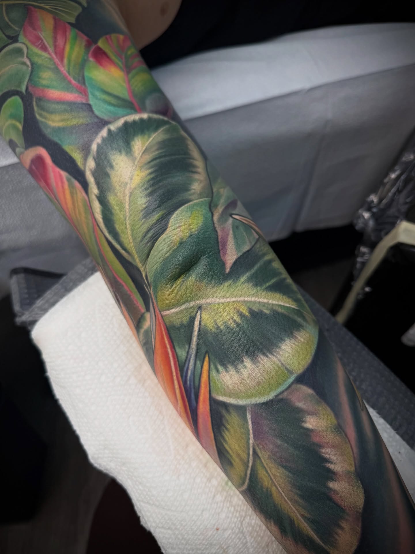 Tropical leaves realism tattoo on the forearm by Melis Fusco