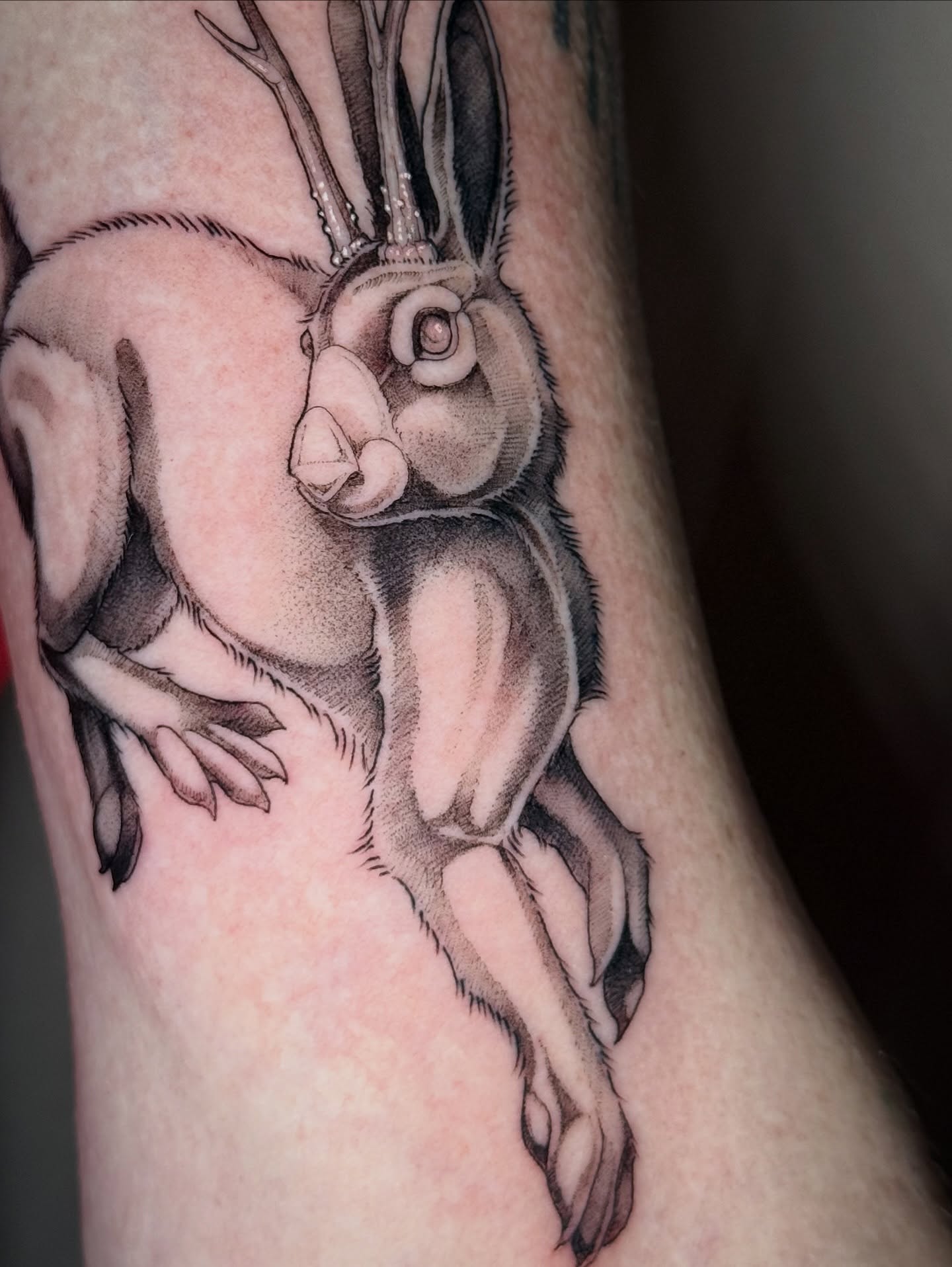 Rabbit realism tattoo on the forearm by Lydia Jude