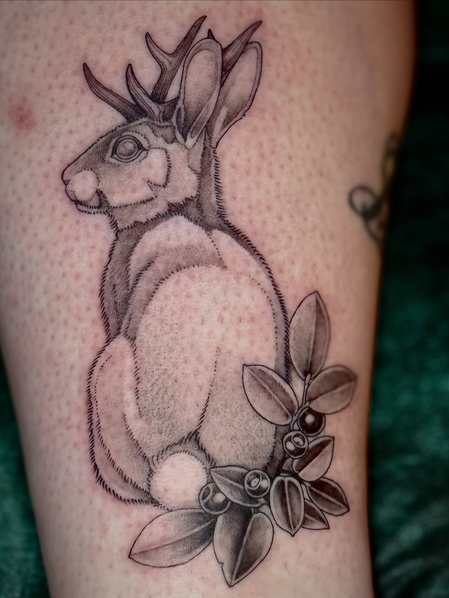 Rabbit with antlers black and grey tattoo on the forearm by Lydia Jude