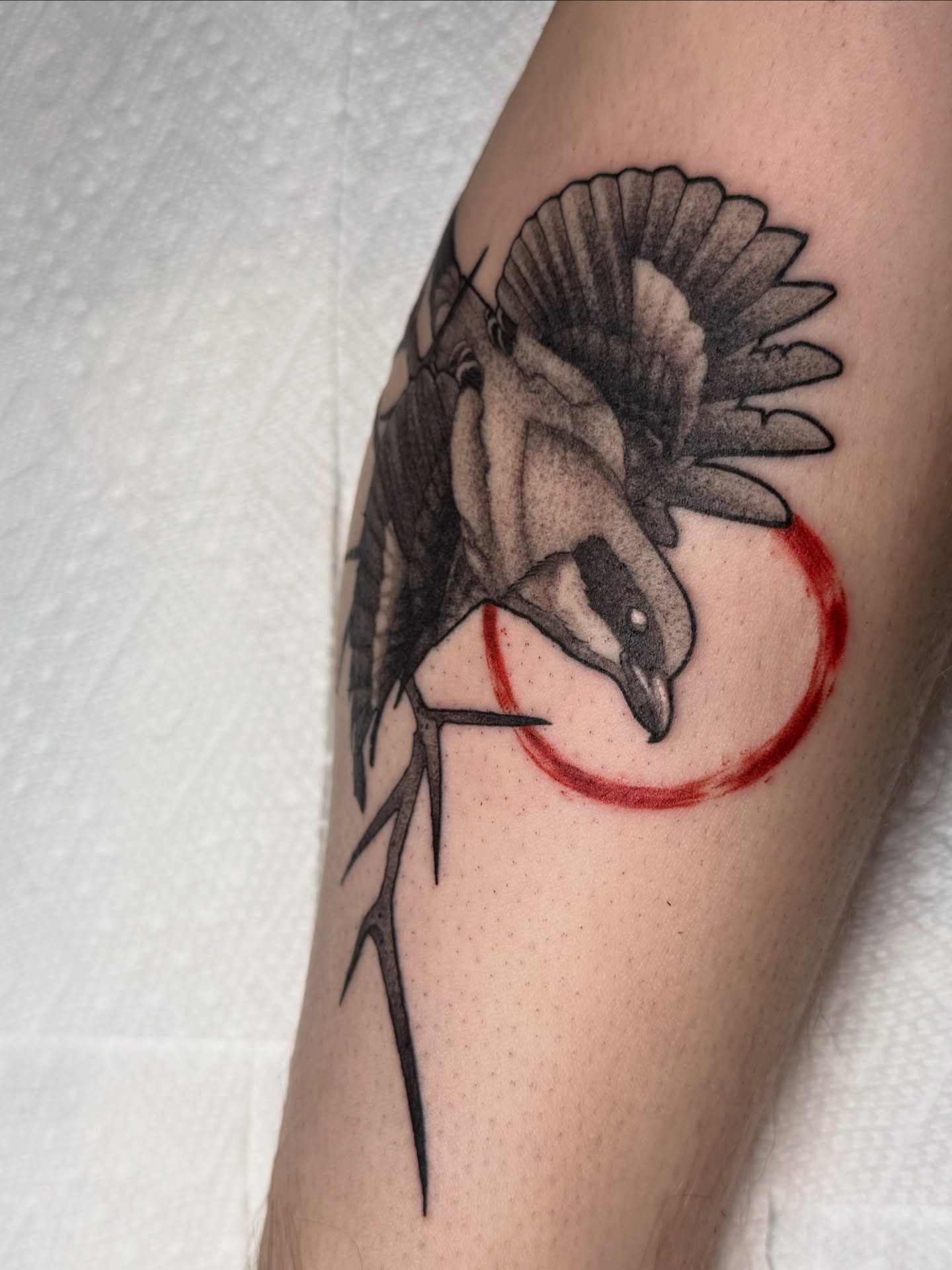 Tattoo by @back_alley_emily — dotwork, realism