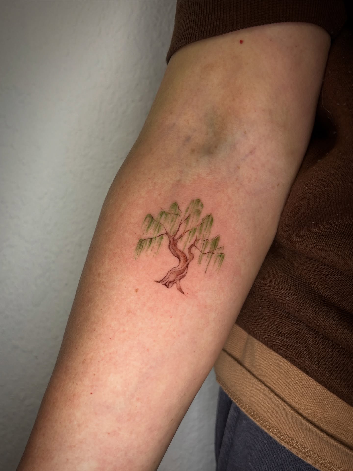 Weeping willow tree dotwork tattoo on the forearm by Miri