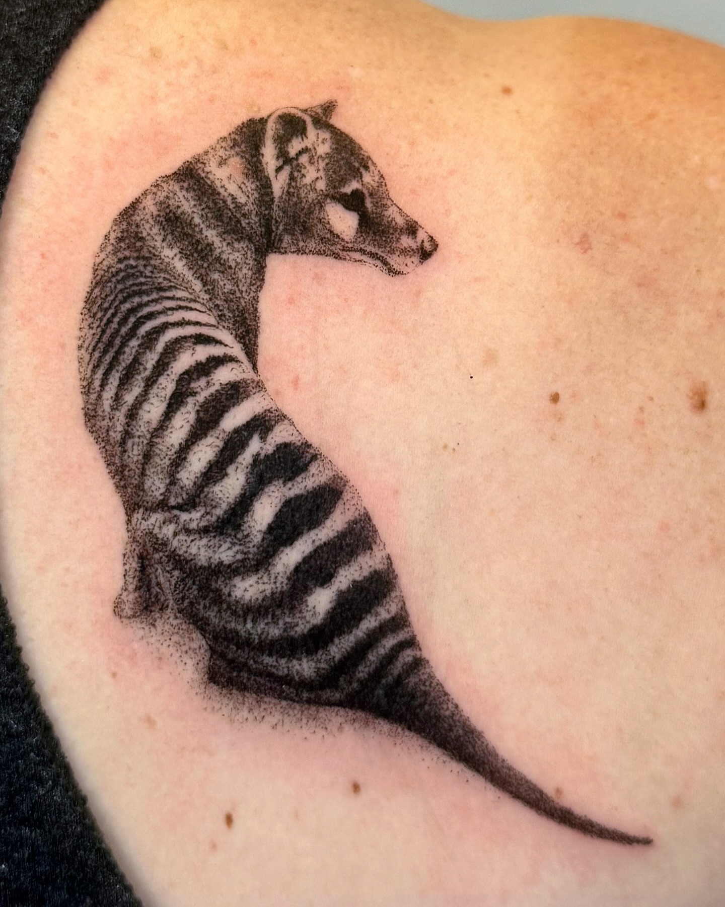 Tattoo by @redrooktattoo — dotwork