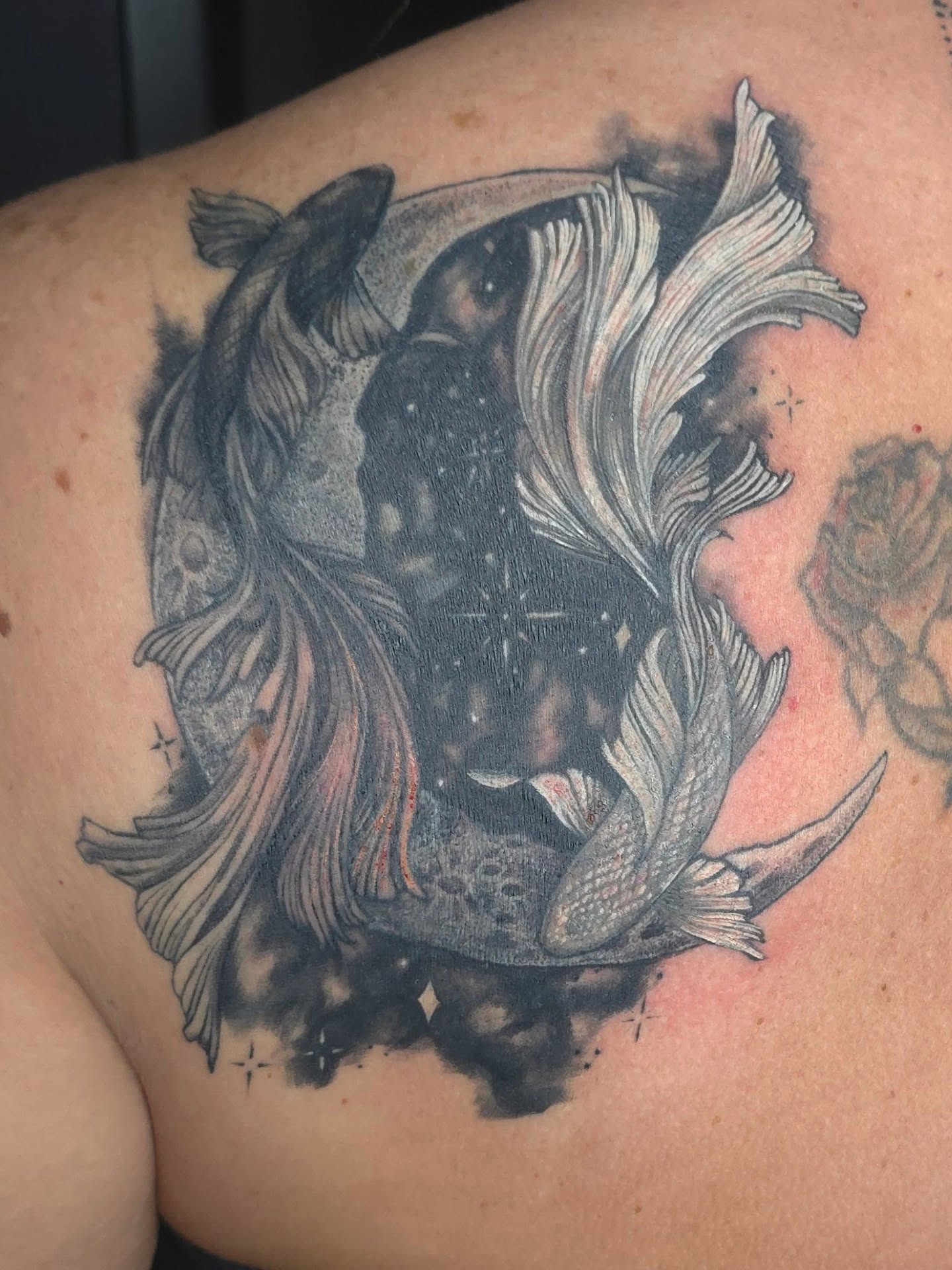 Koi fish realism tattoo on the back by Trinity