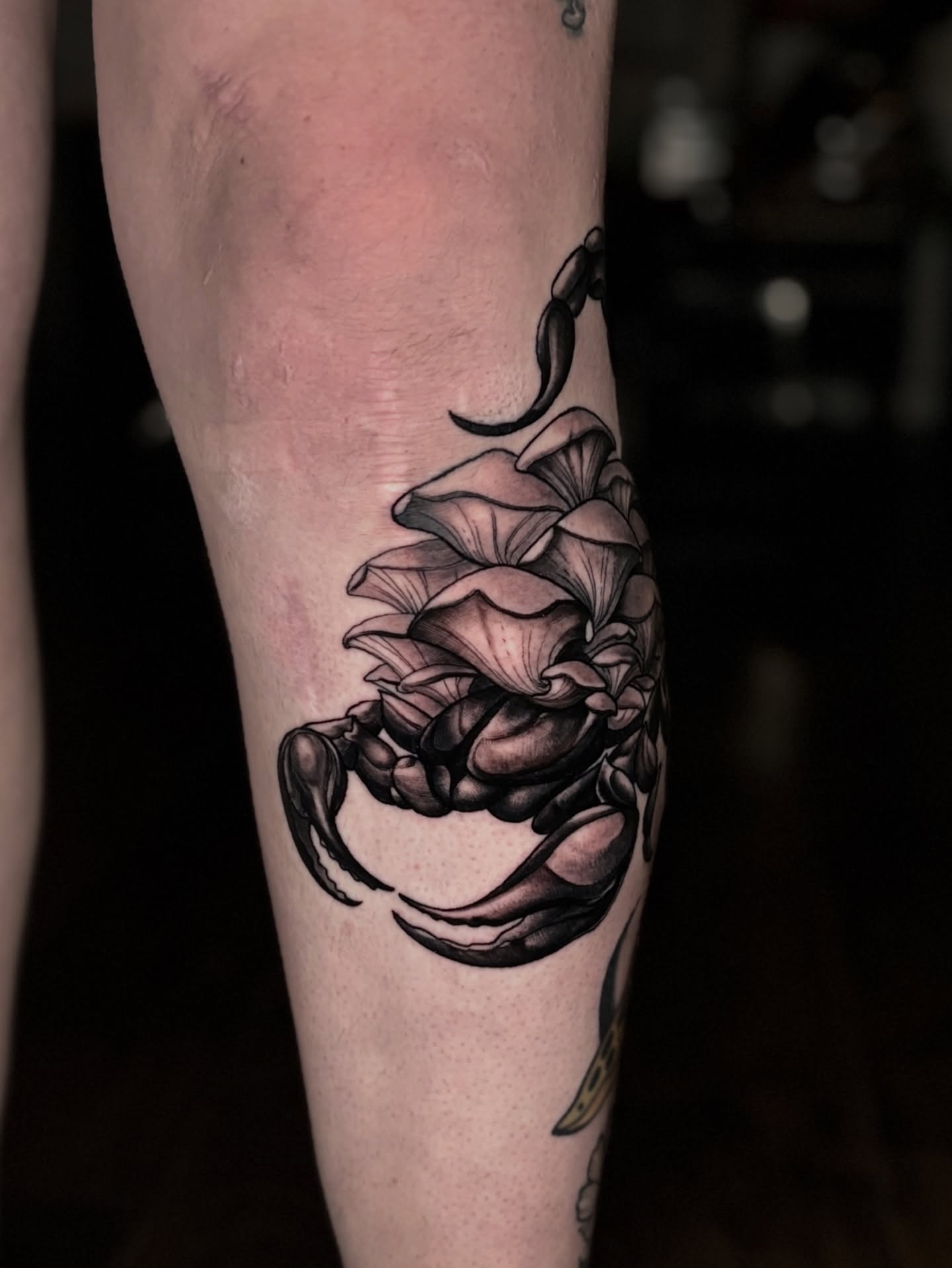 Tattoo by @tonyluceroart — black_and_grey, realism